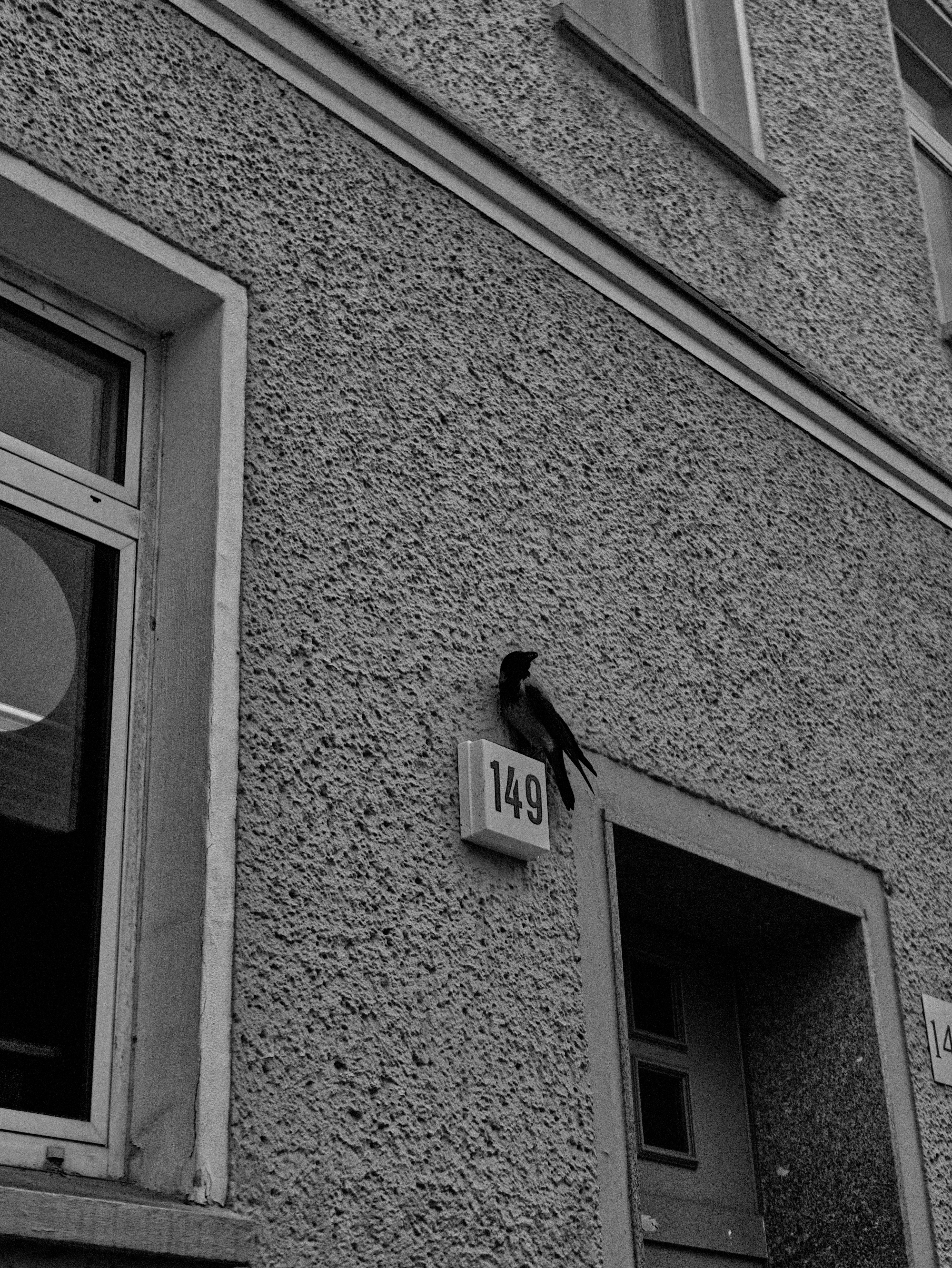 Photo by joschuadrsky