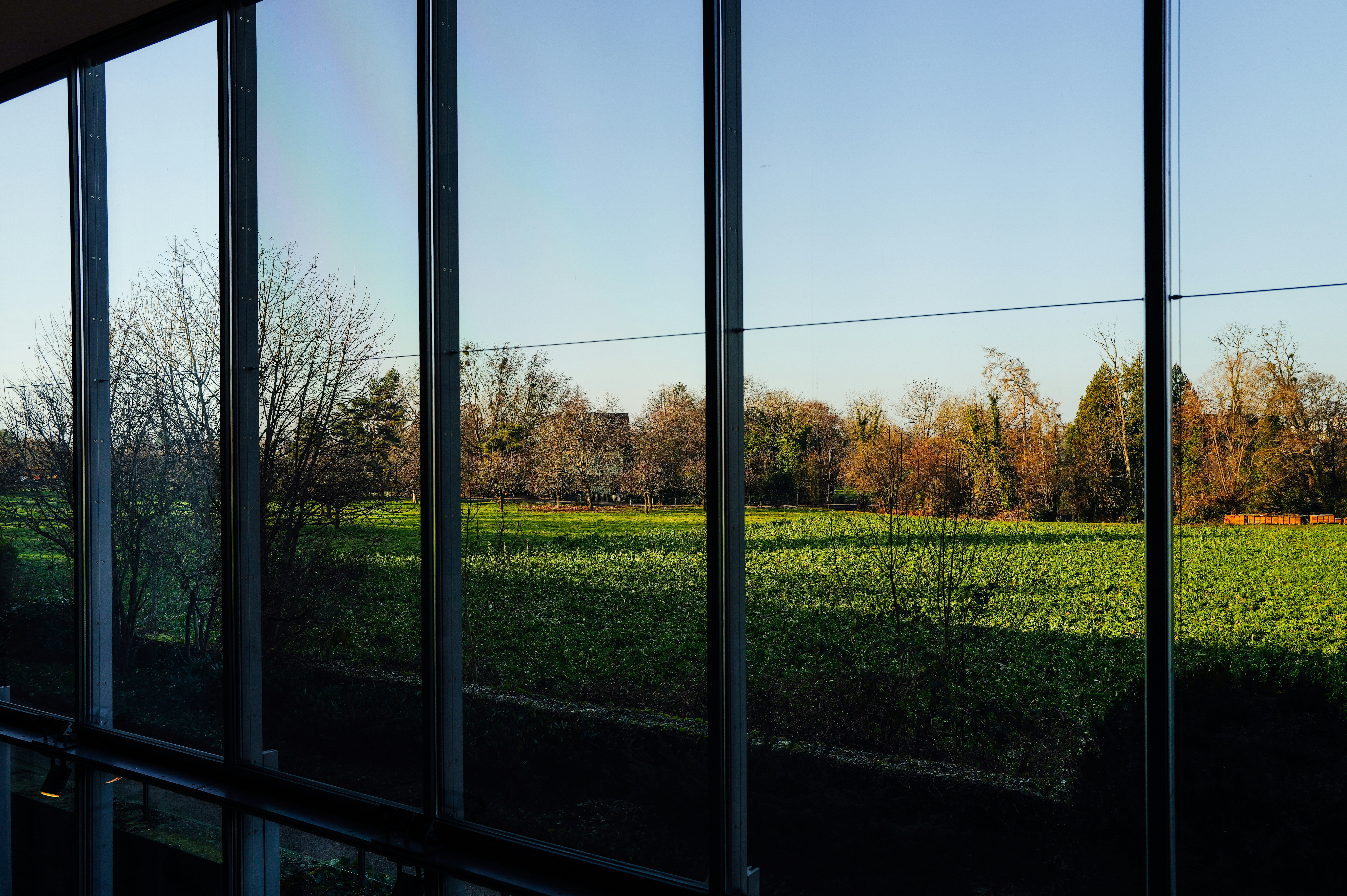 A view of a field through a window photo – Free Nature Image on Unsplash