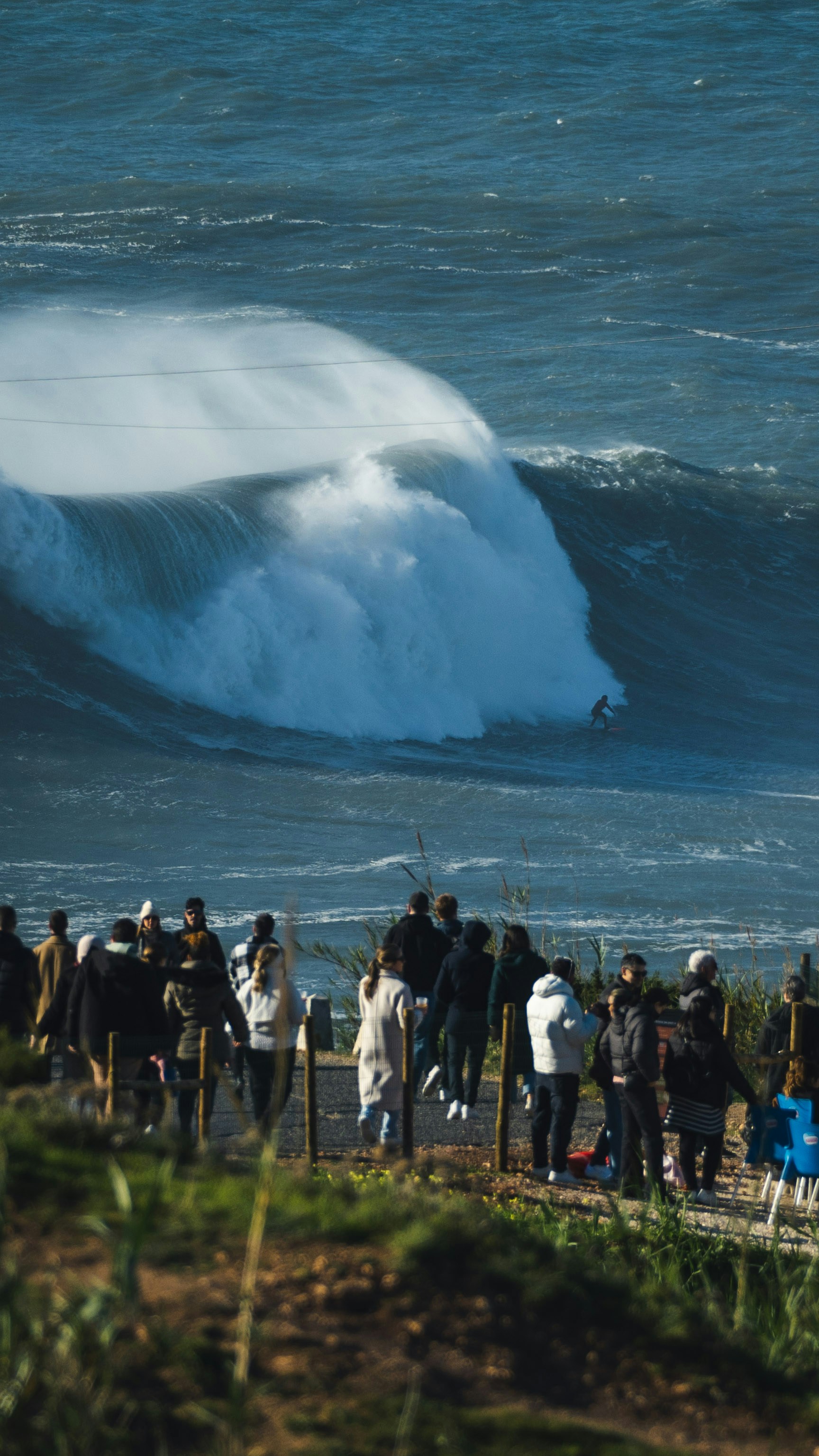 A group of people watching a large wave