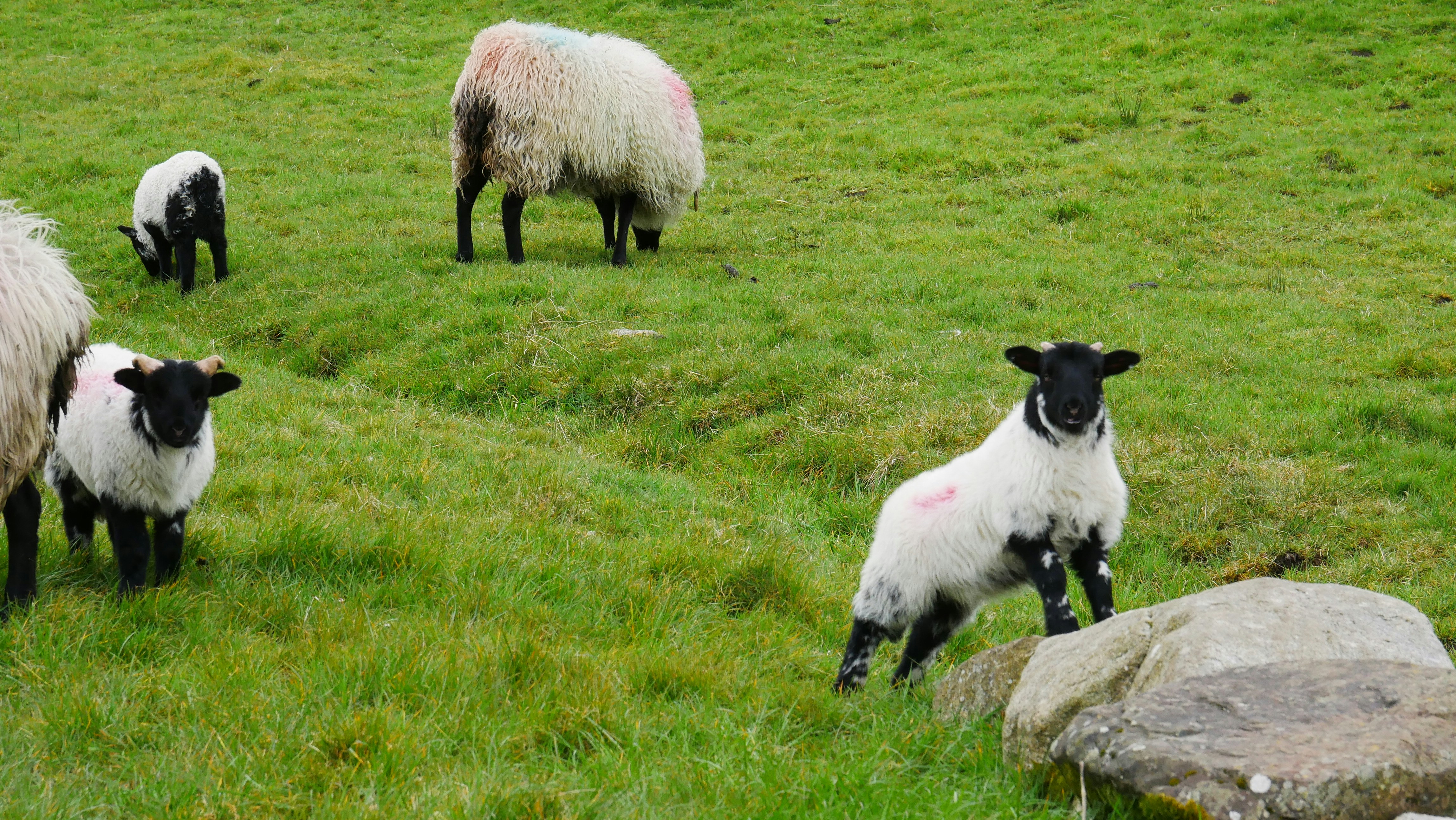 Photo by jean_luc_fcn