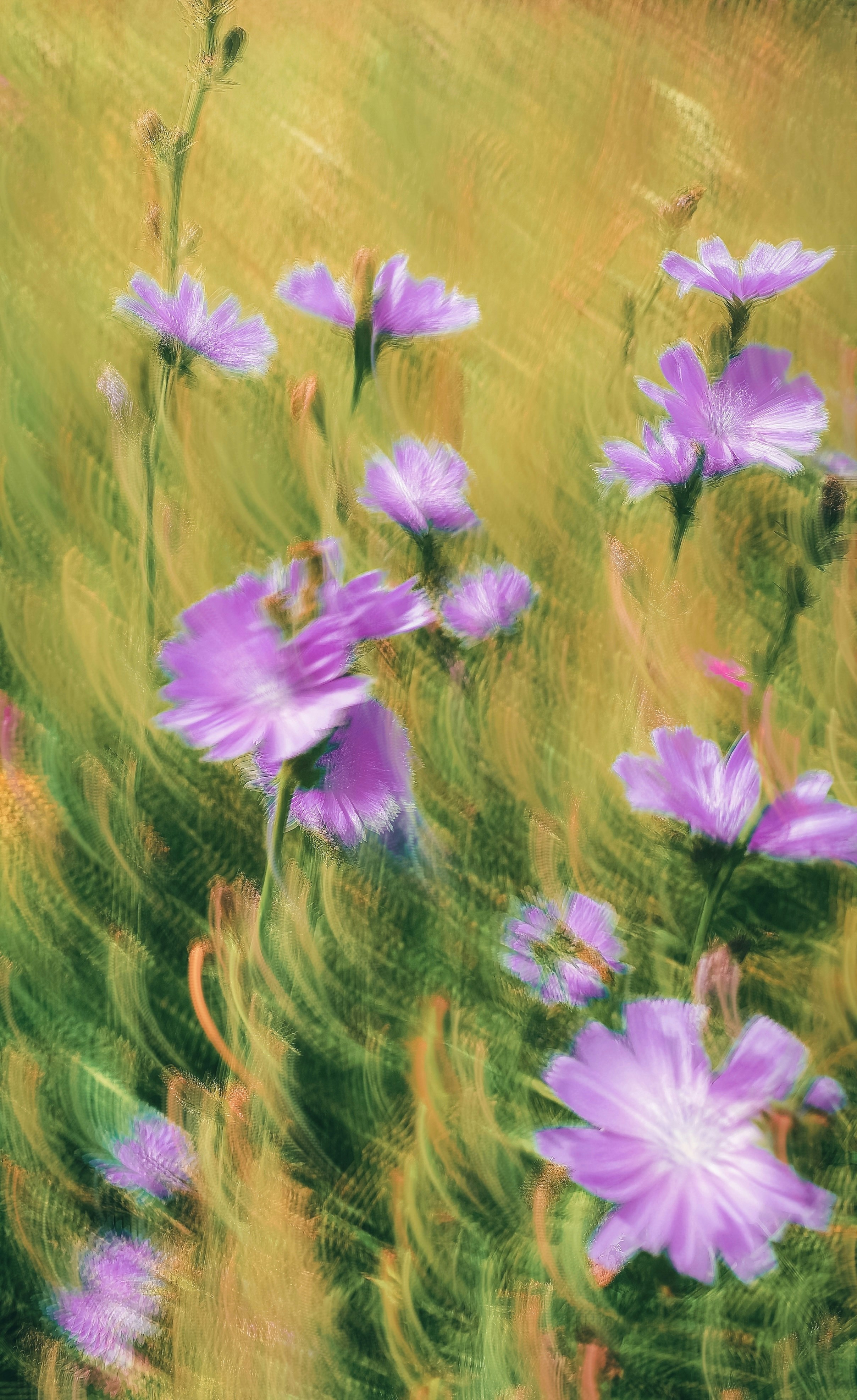 Photo by eugene_golovesov