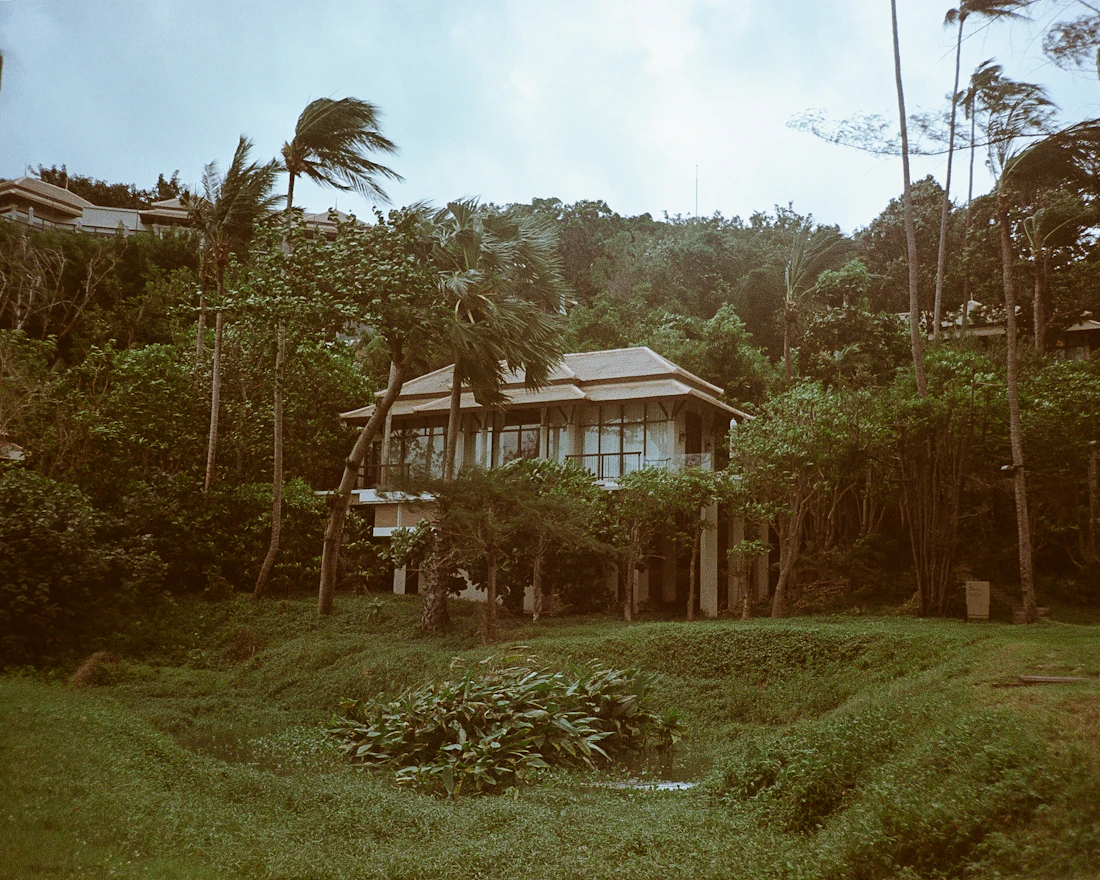 Chalet homestay berkabus di lereng bukit hijau di Malaysia