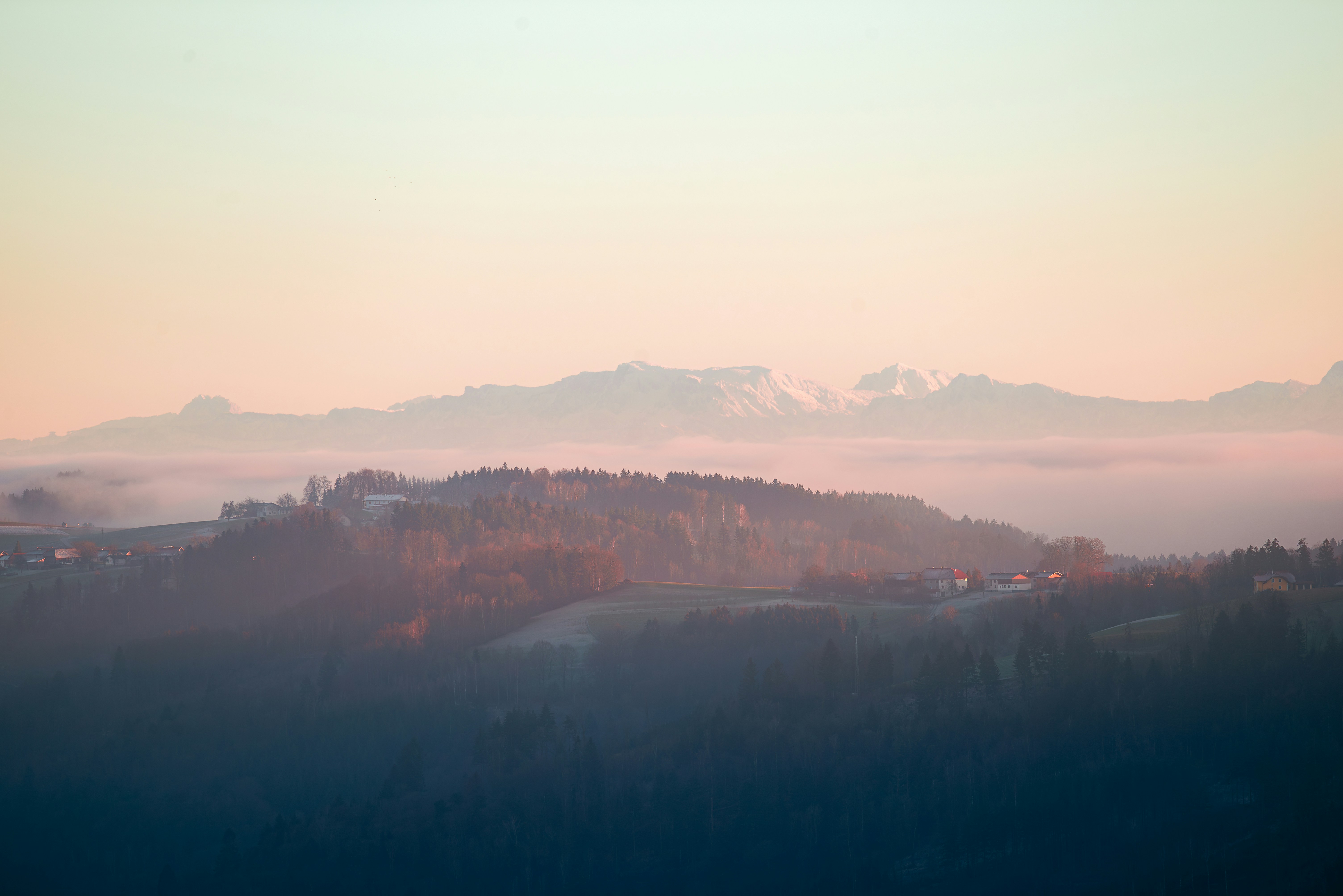 romantic forest wallpaper, wallpaper, Romantic Camping Getaway: Plan the Perfect Trip 3