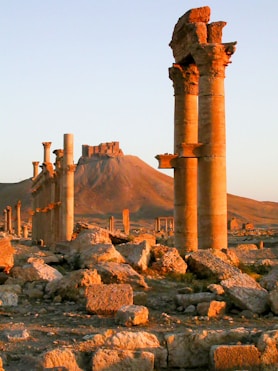The ruins of the ancient city of palmyran