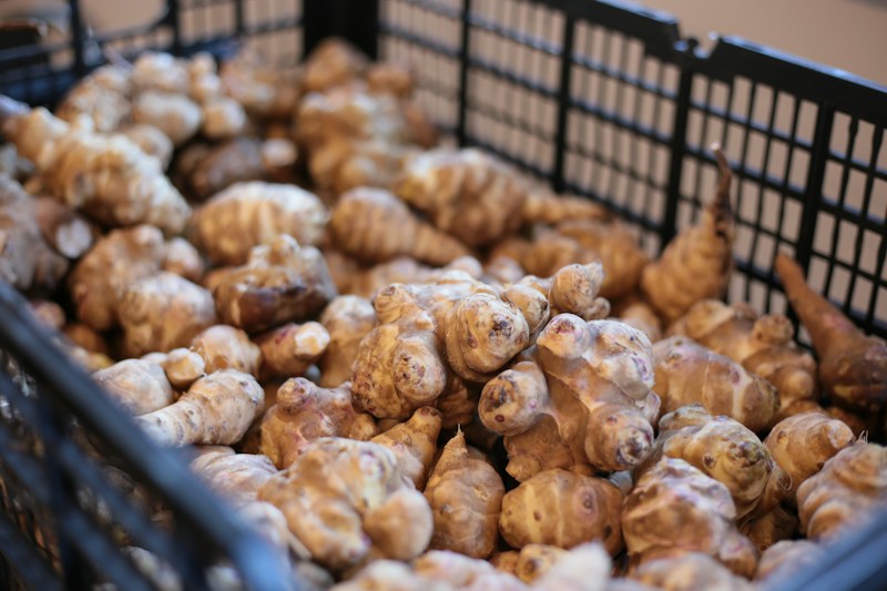 Jerusalem artichokes