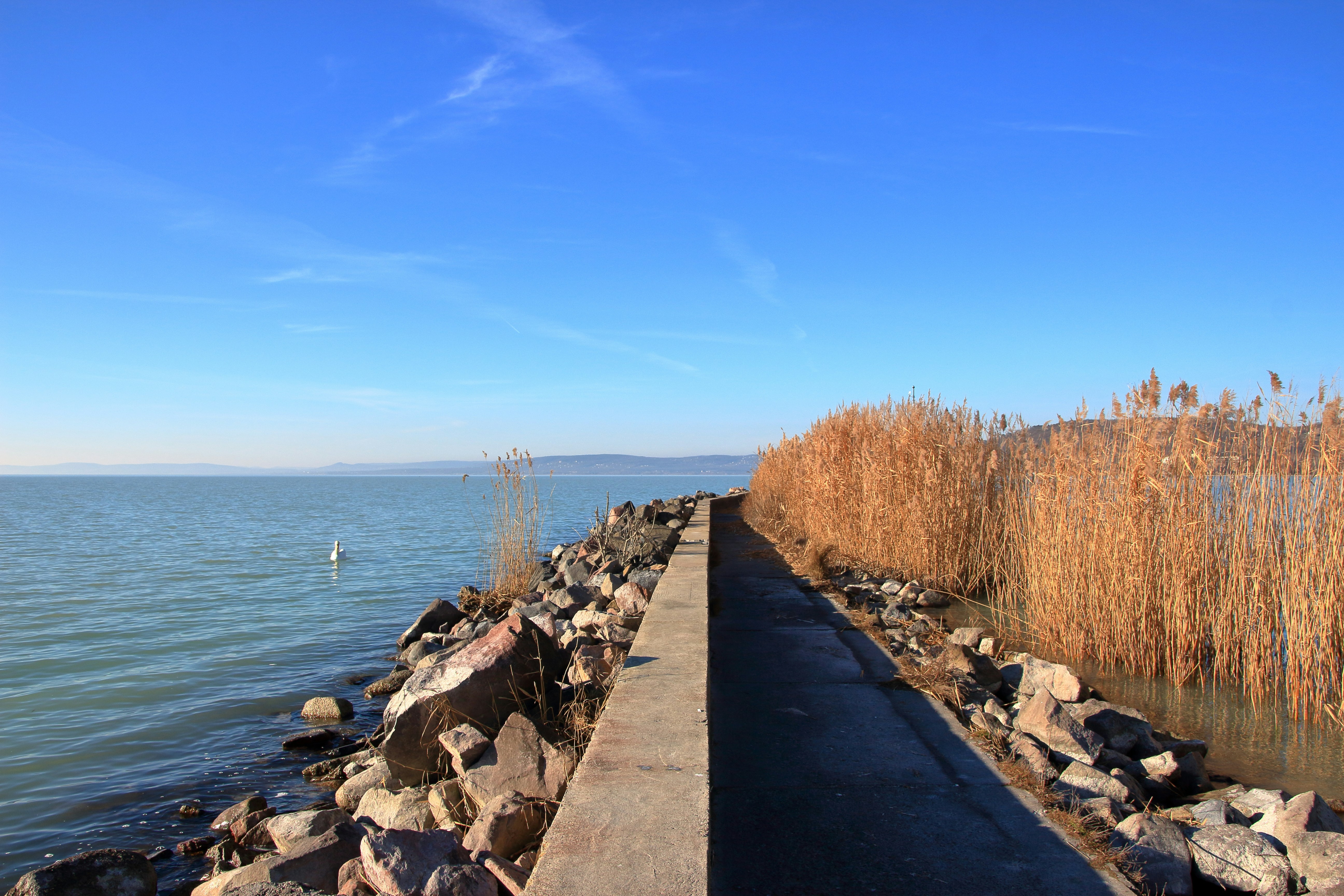 Dike Park
