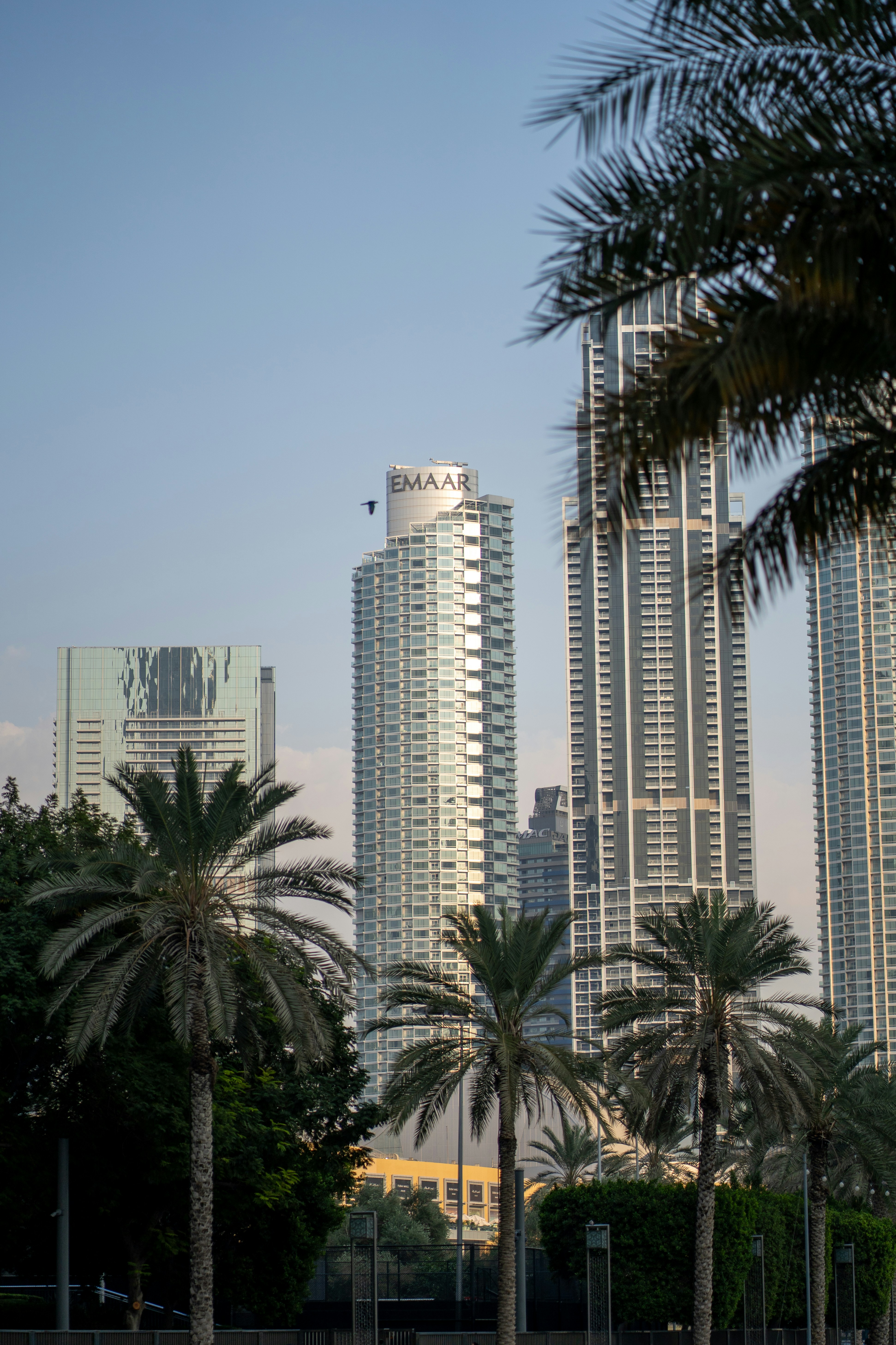 Photo by usmanyousaf