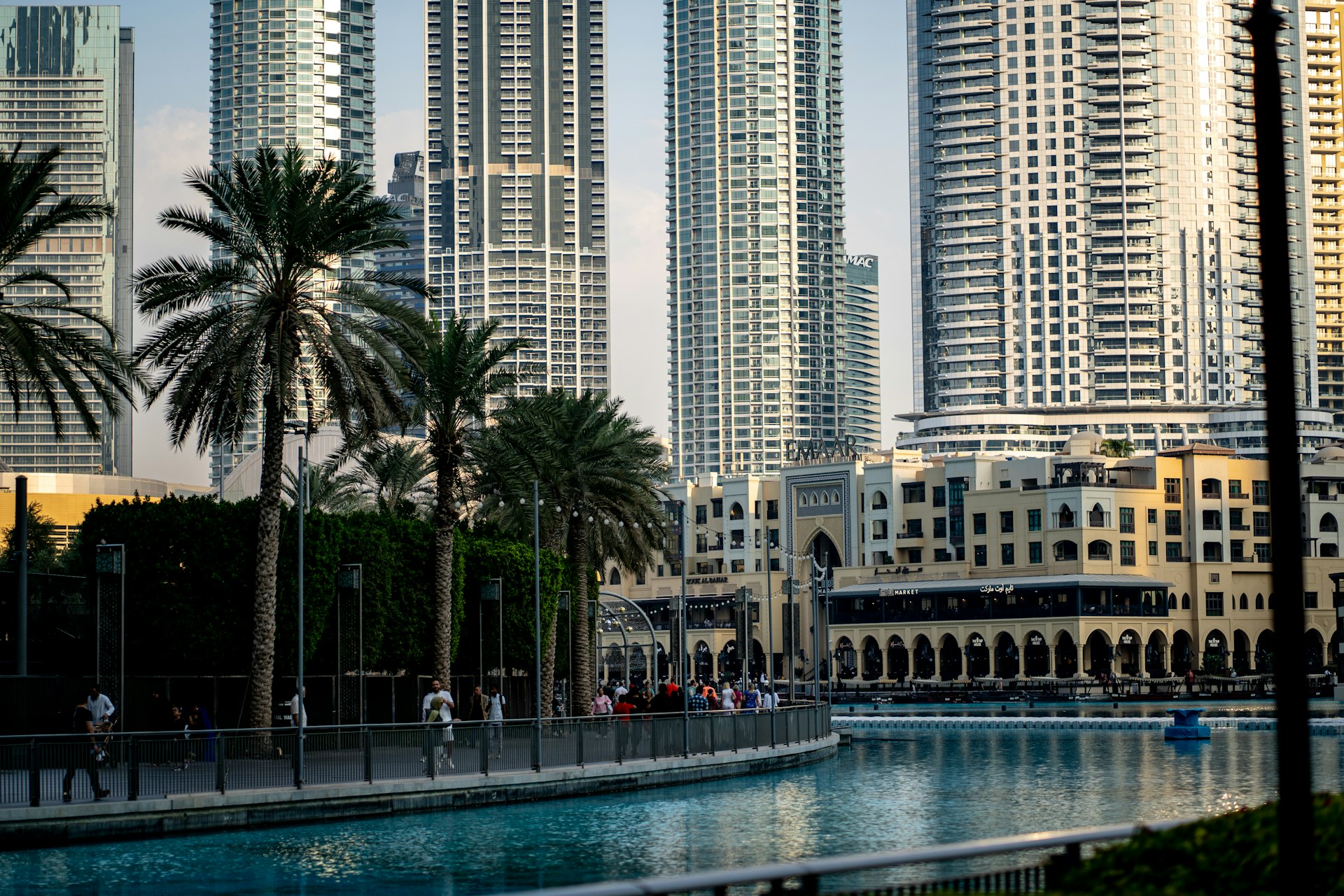 A city with tall buildings and palm trees
