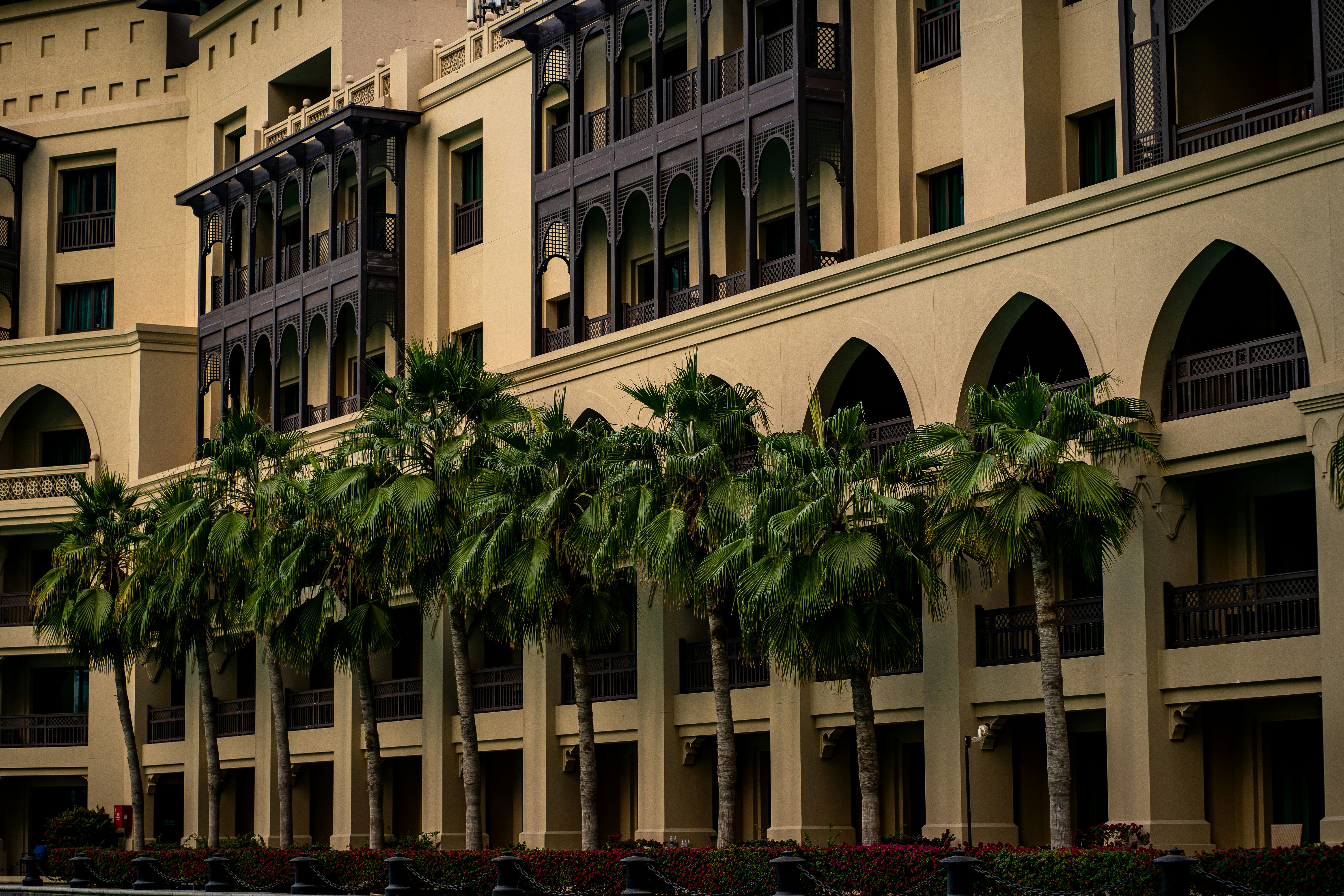 A row of palm trees in front of a building