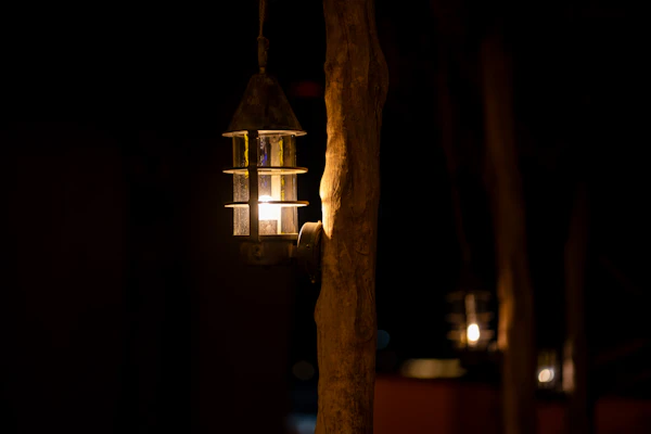 A lantern hanging from a tree branch in the dark