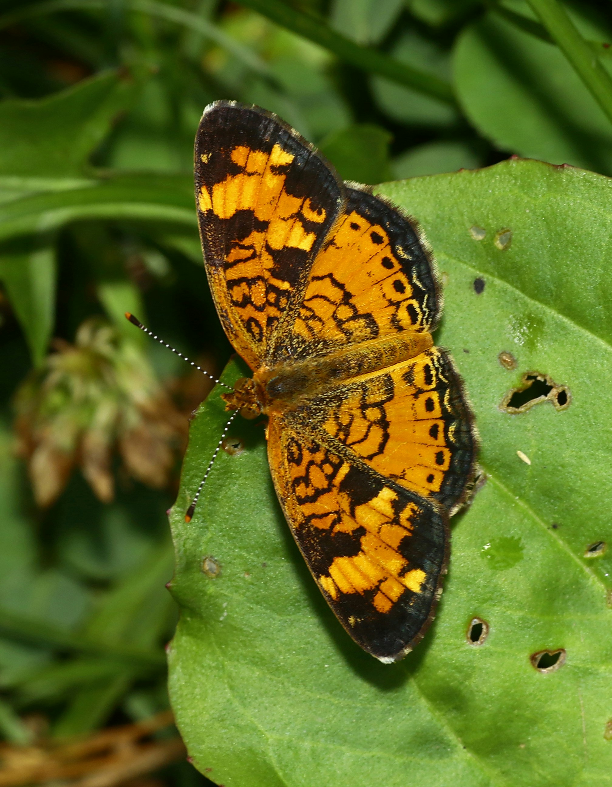 Photo by telliottmbamsc