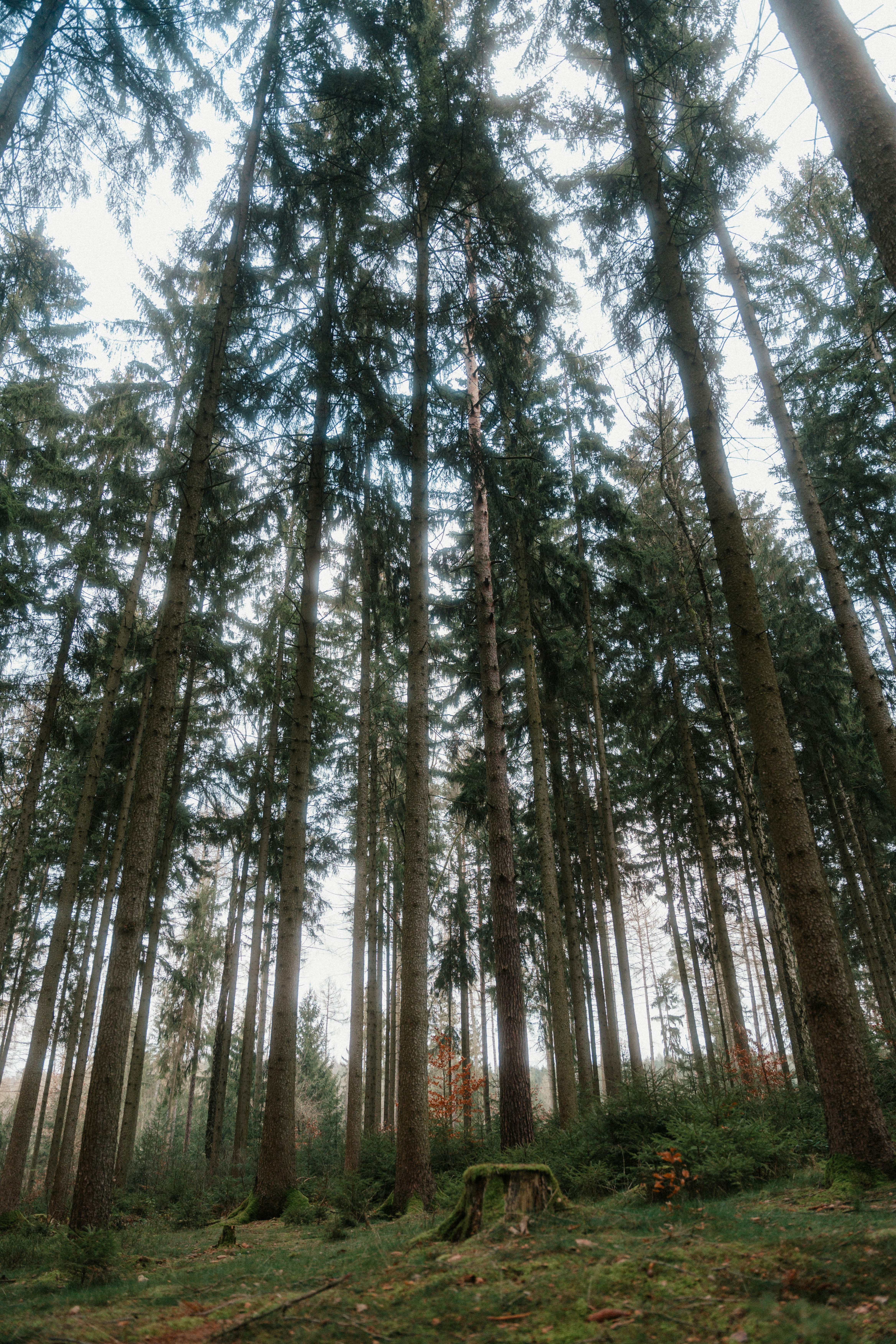 Photo by luiseandnic