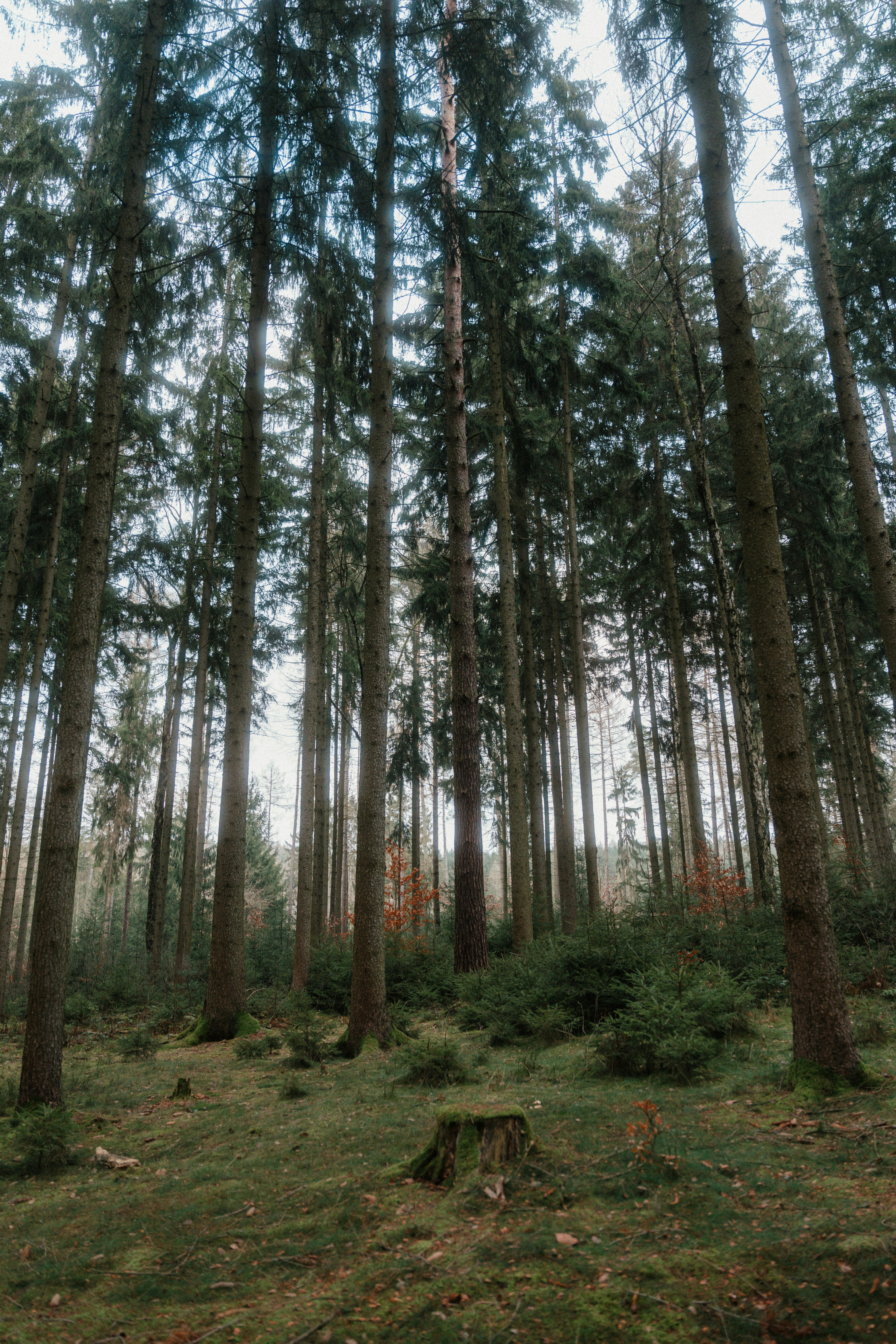 Photo by luiseandnic