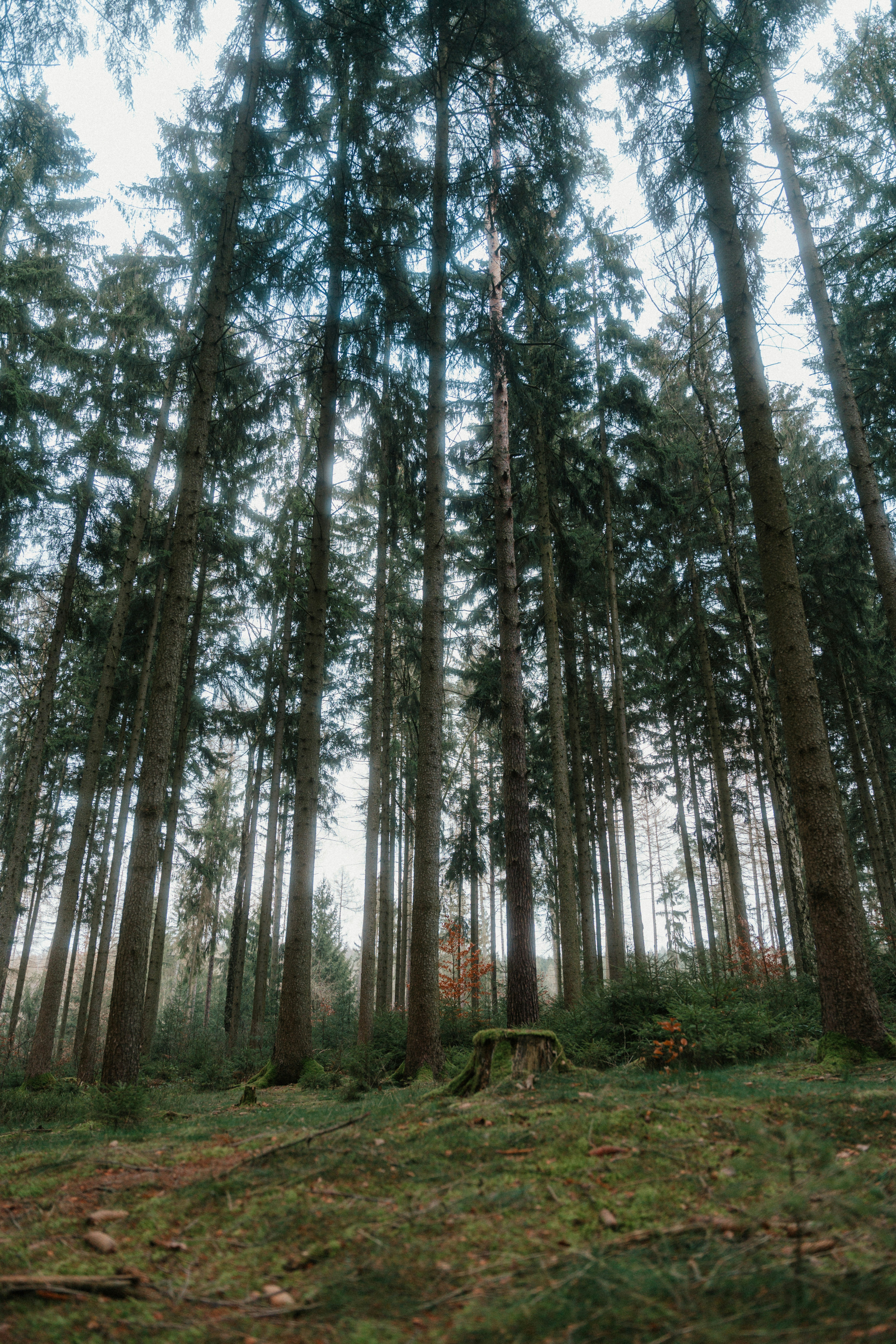 Photo by luiseandnic