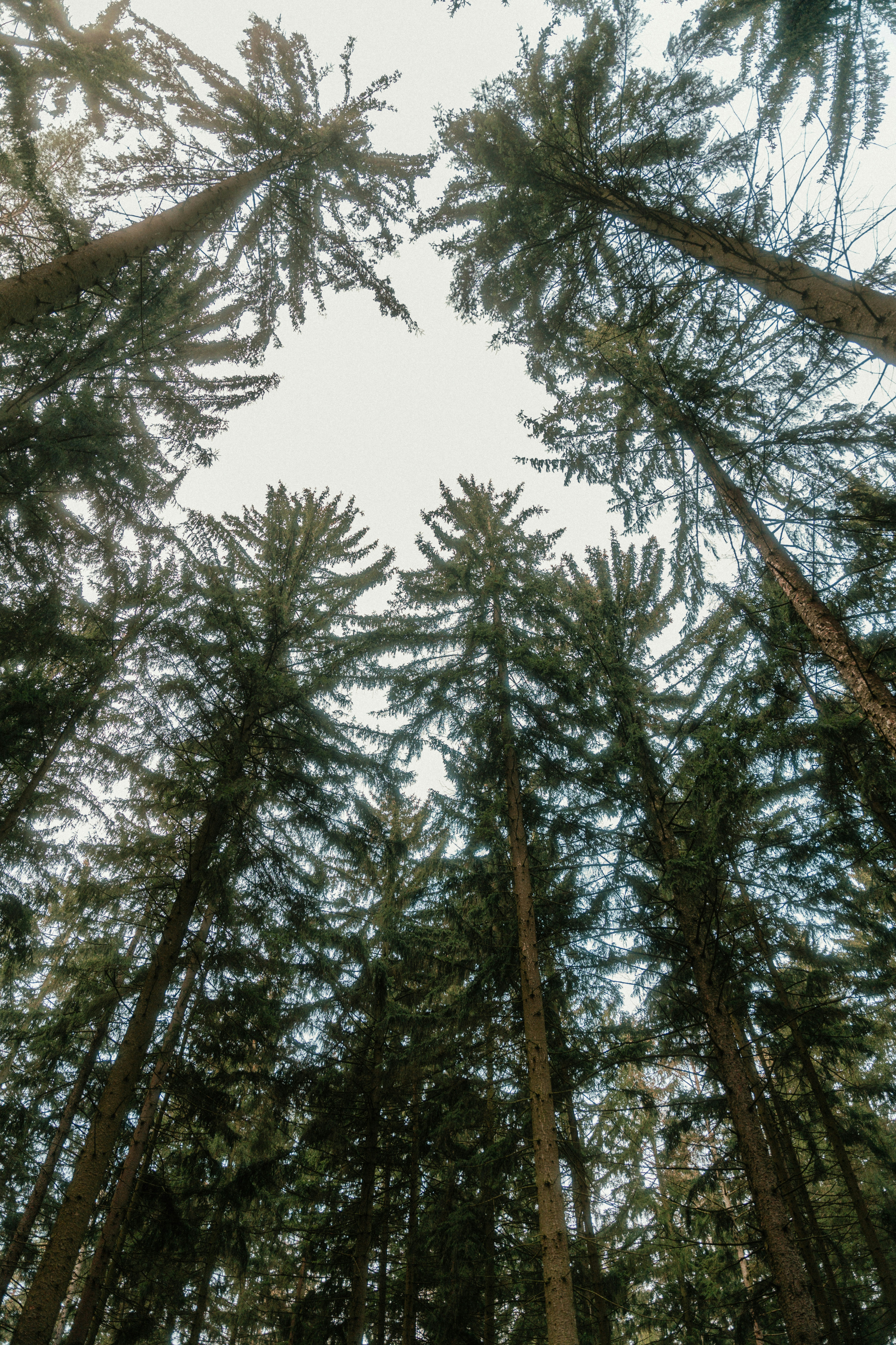 Photo by luiseandnic