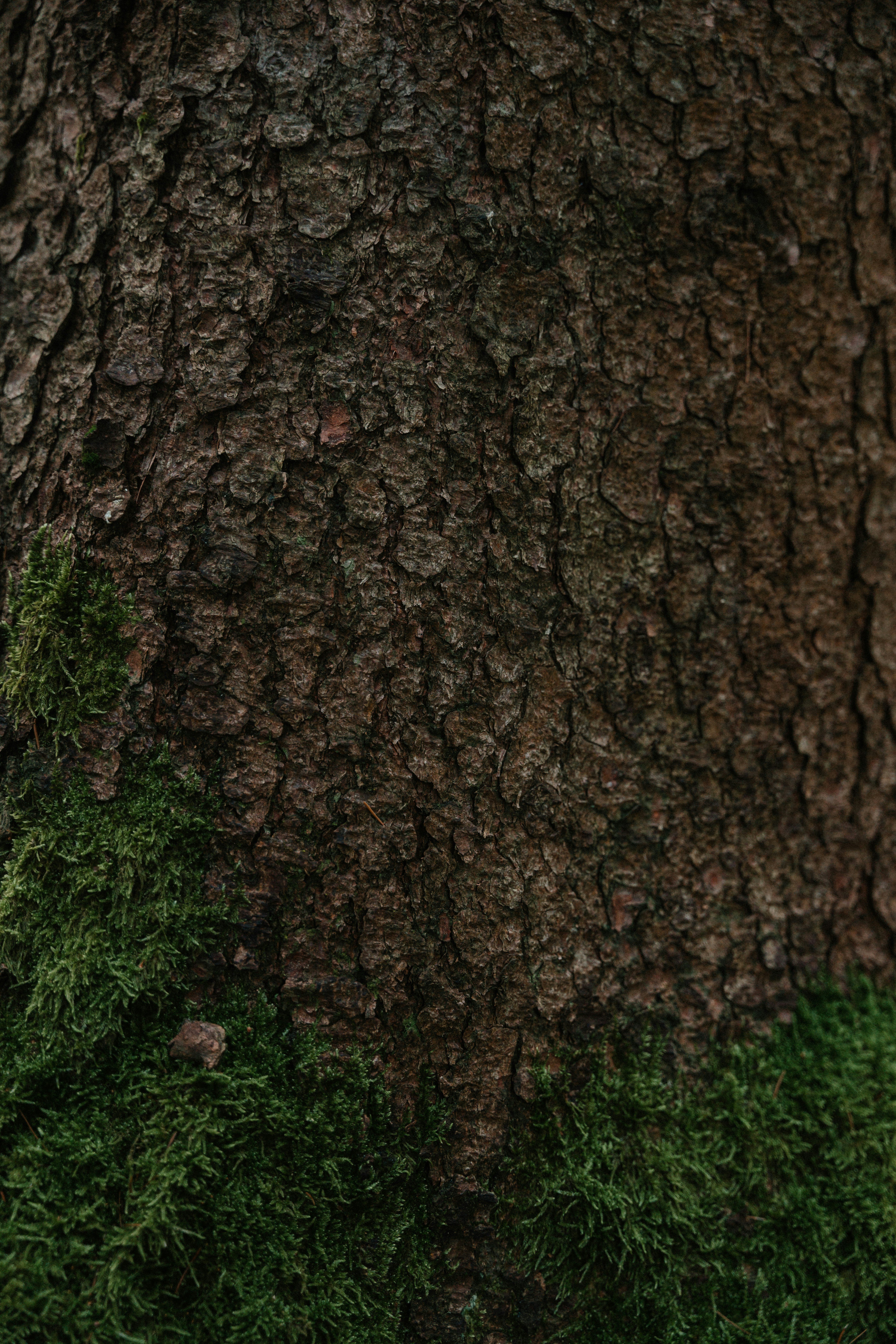 Photo by luiseandnic