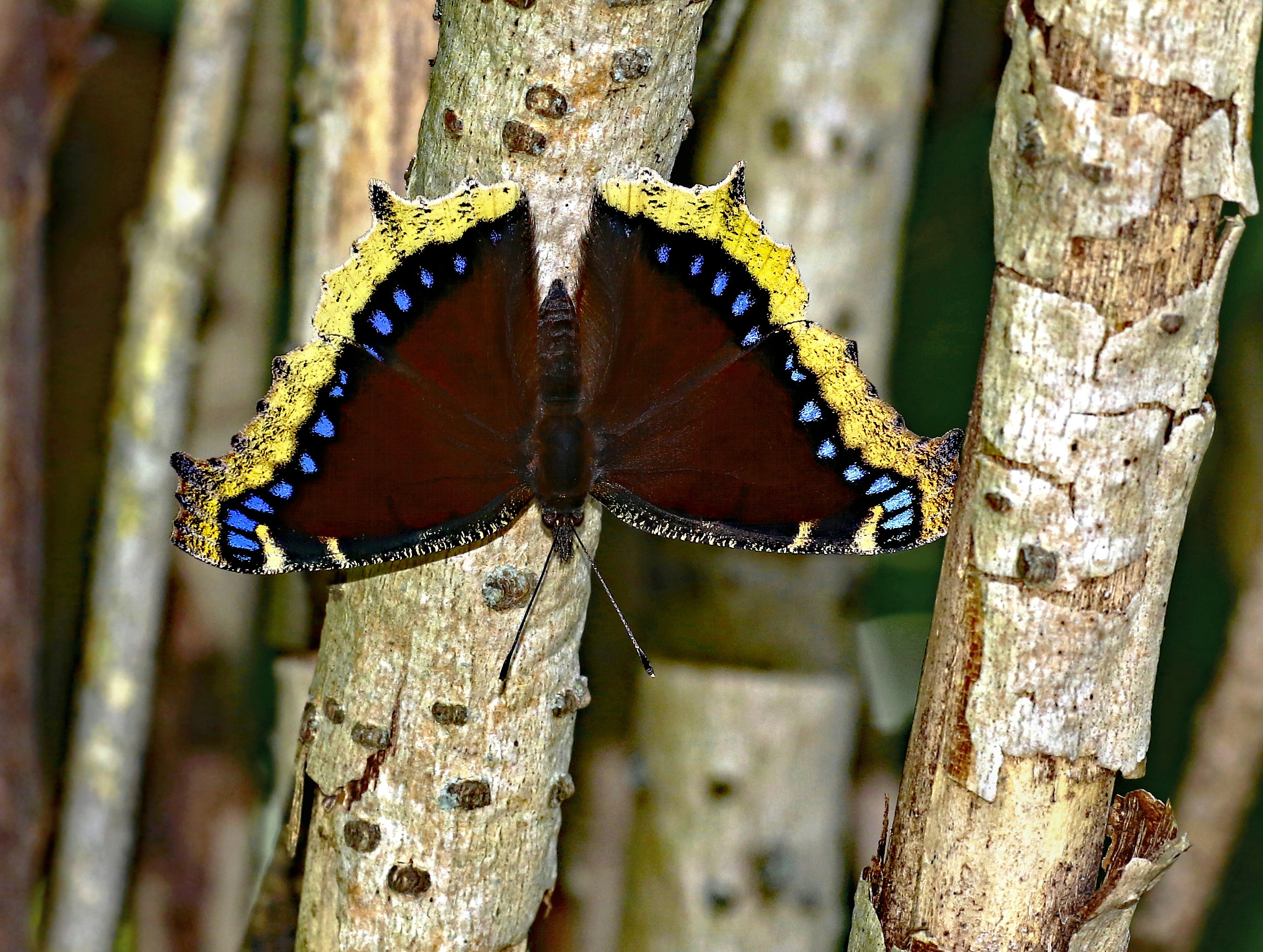 Photo by telliottmbamsc