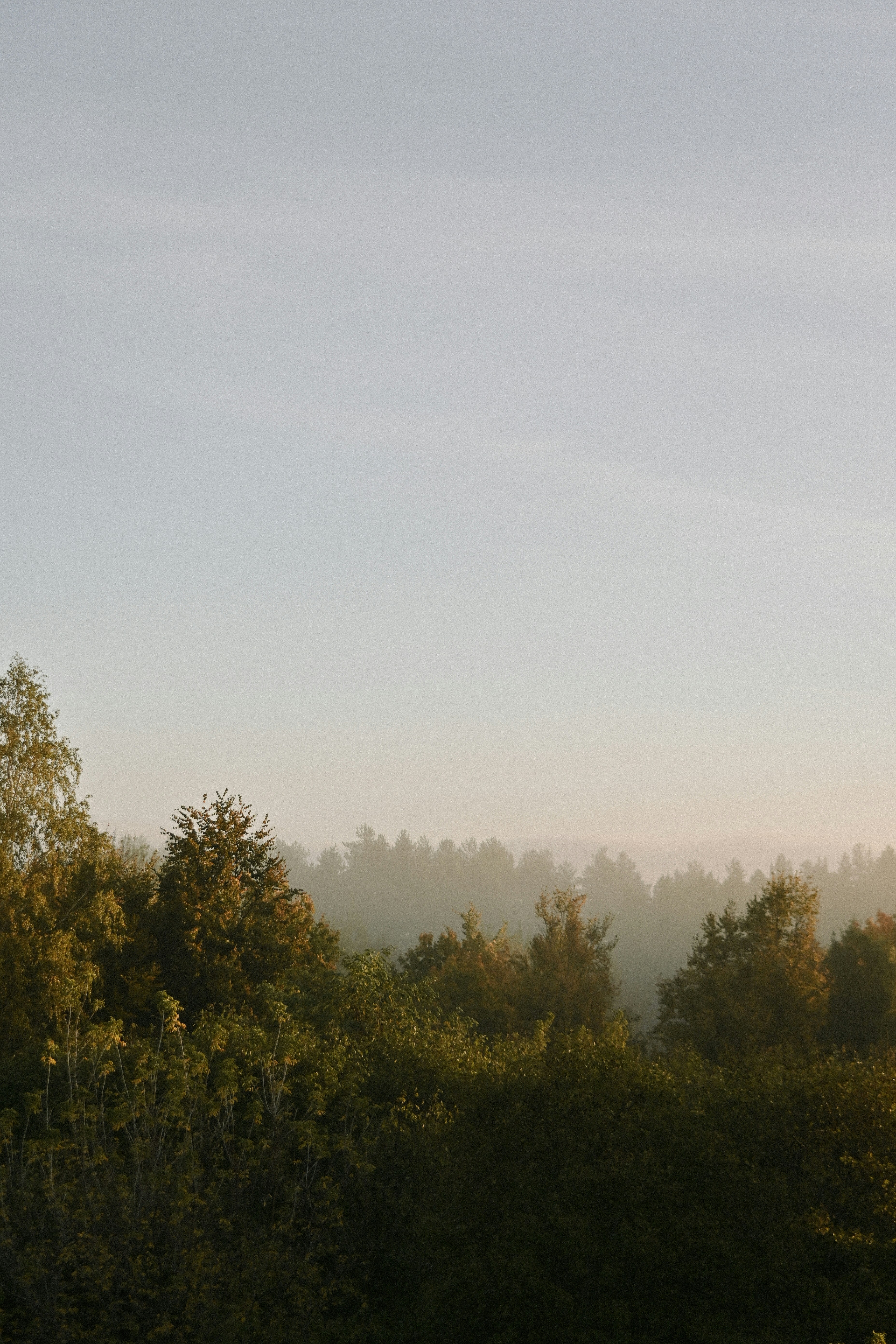 Photo by katya_vysotskaya