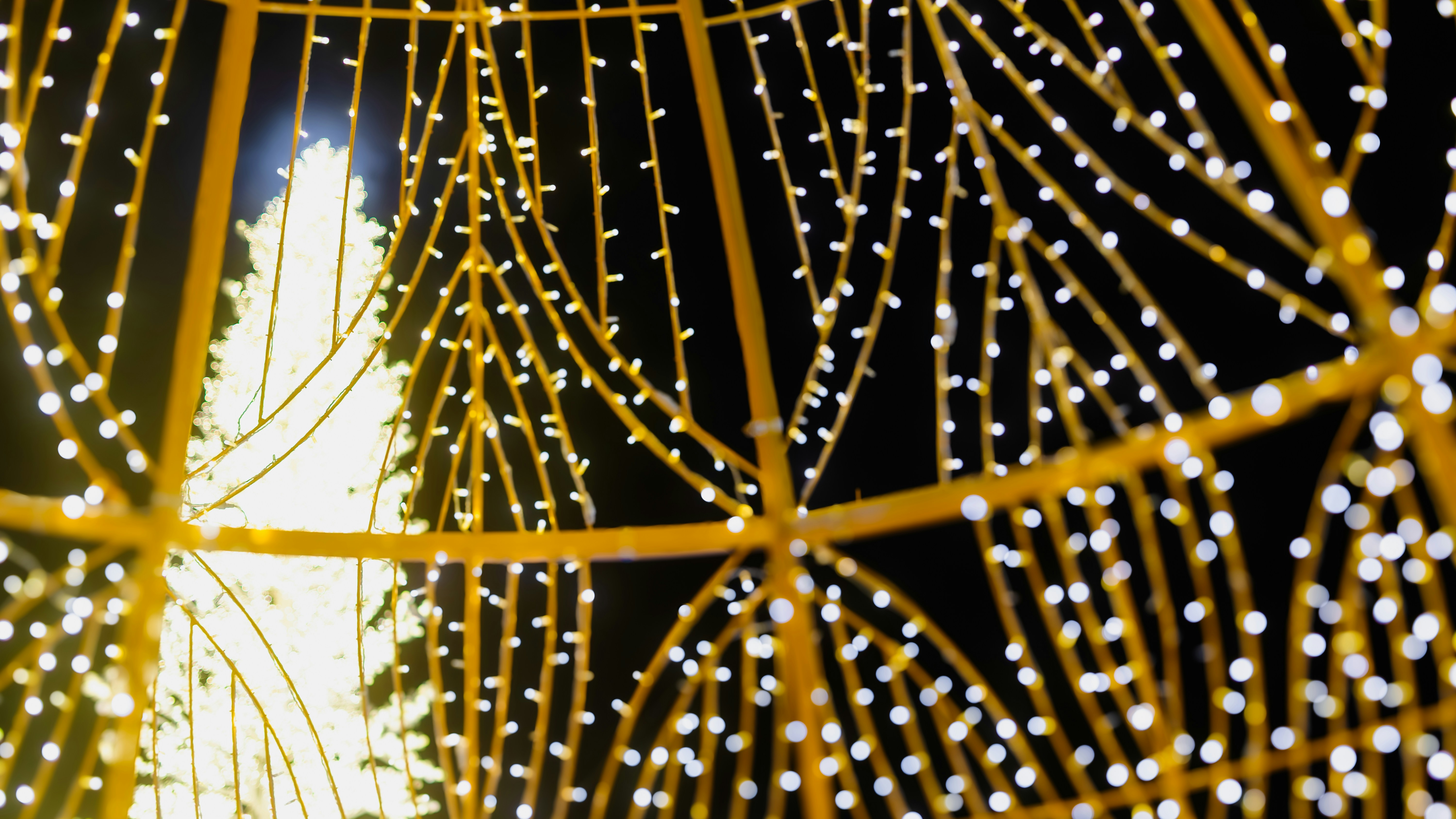 Photo by ghostdogg187