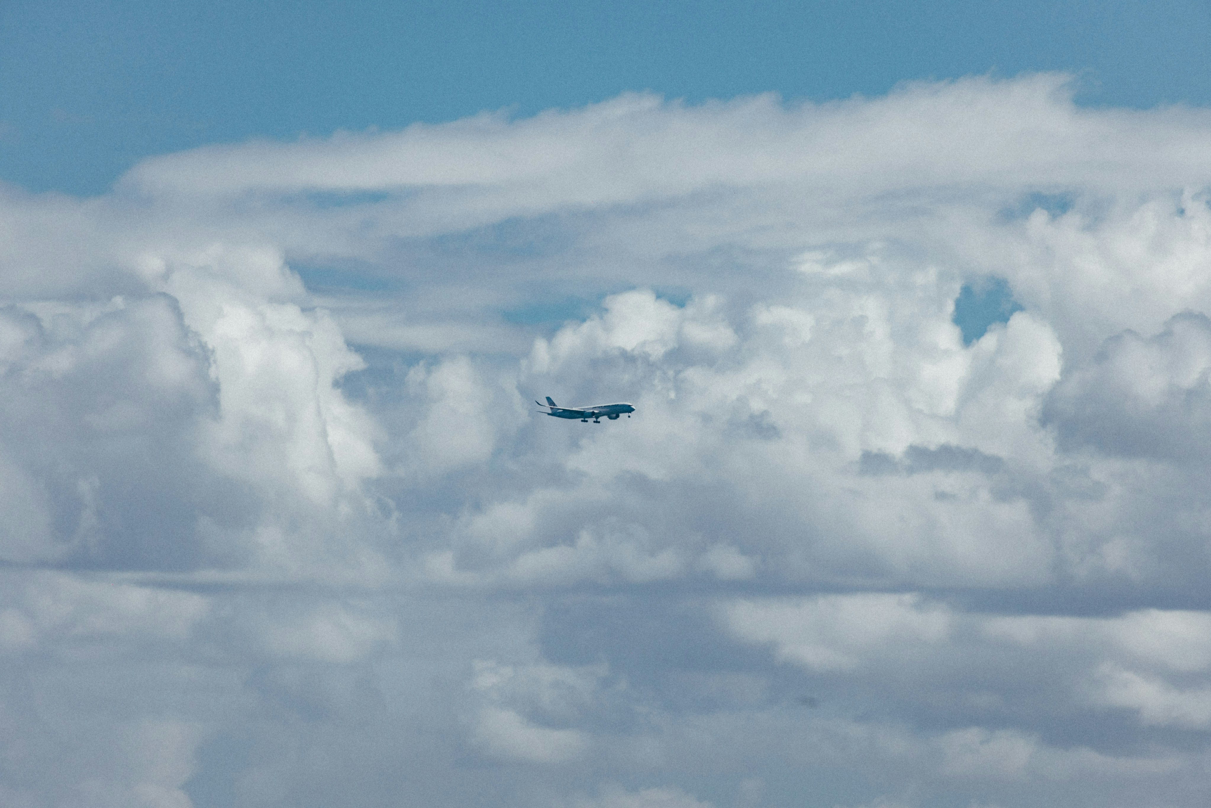 Photo by tsuyoshikozu