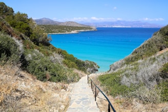 A view of a path leading to a body of water