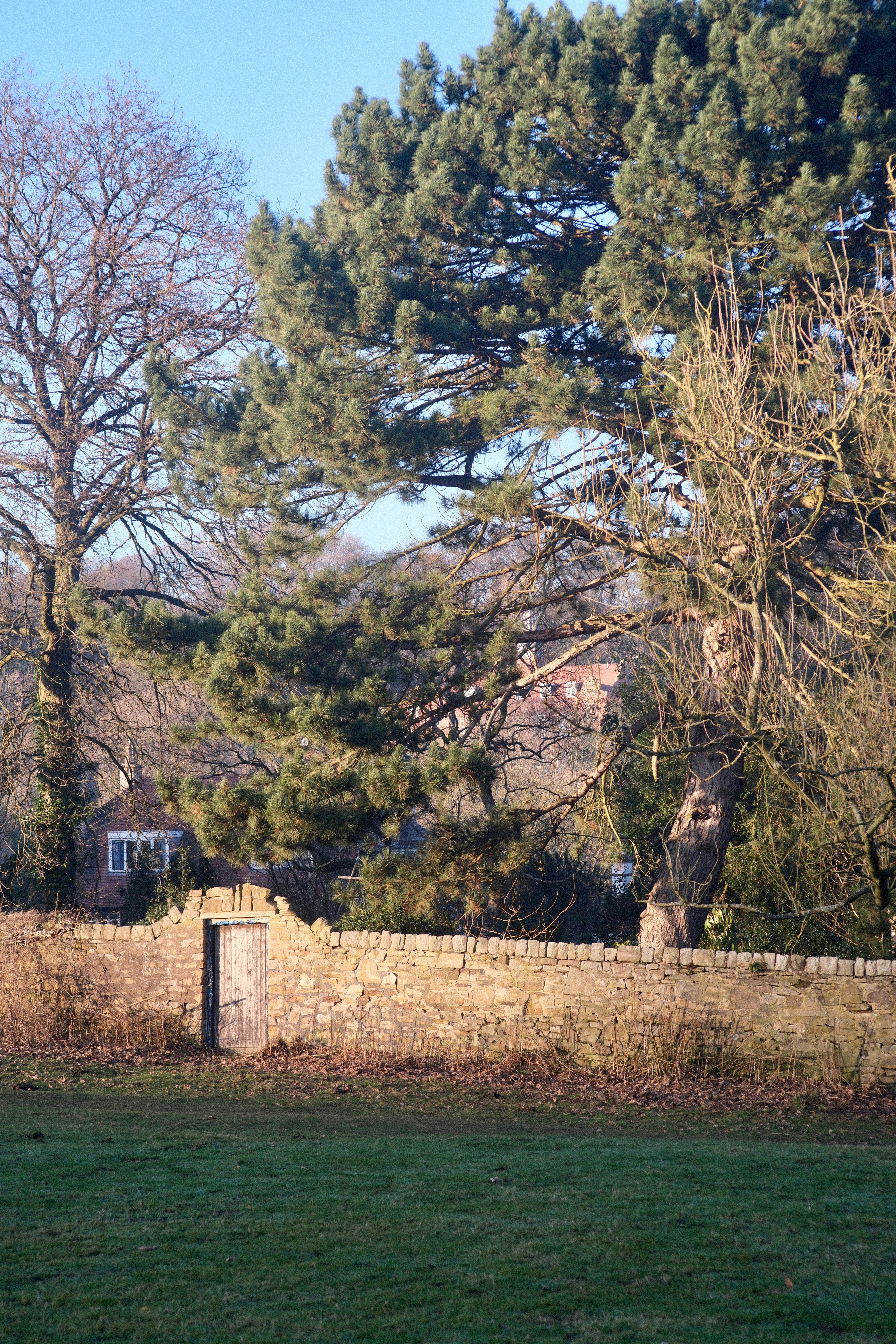 Photo by alekseixagafonov