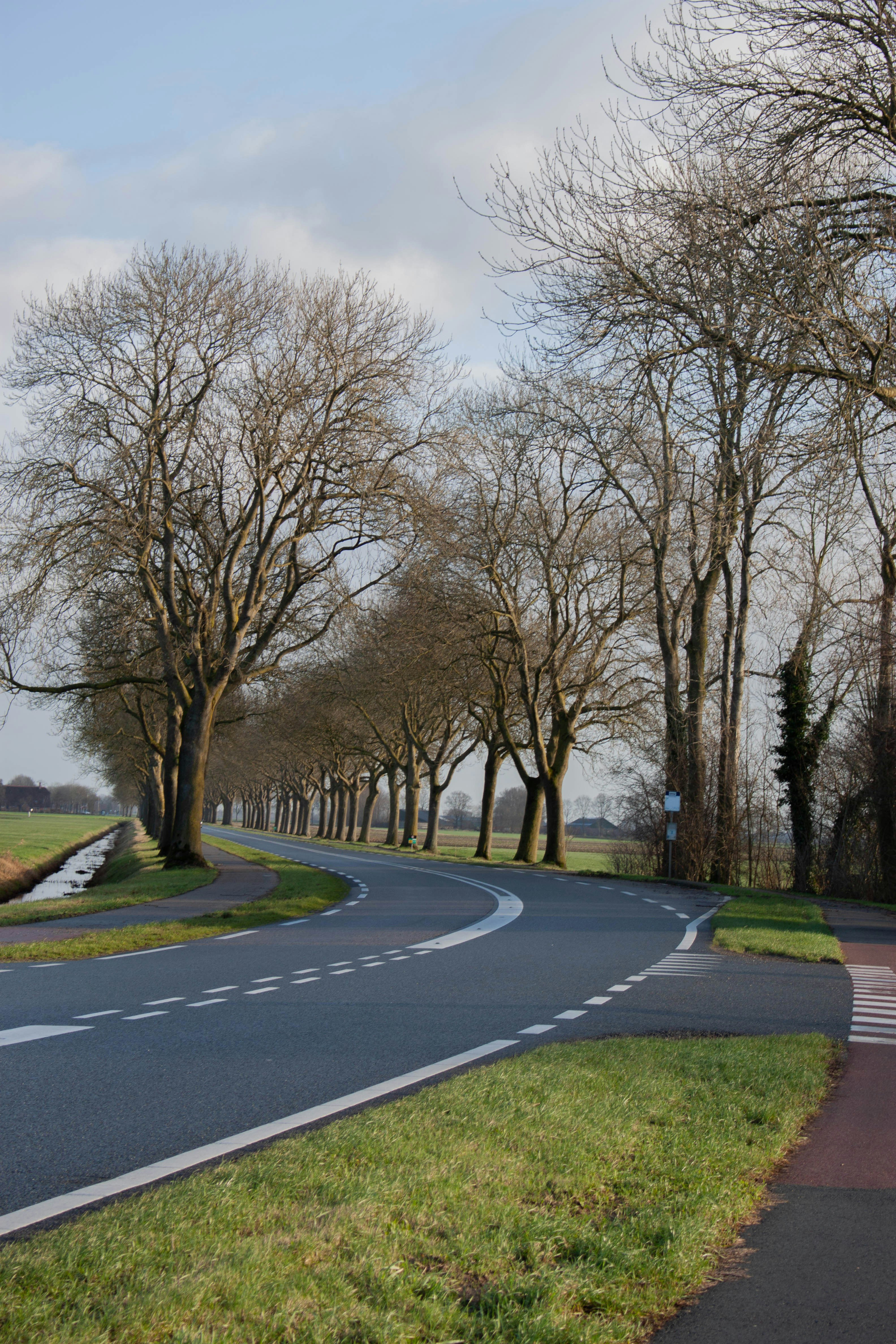 Photo by kamillaisalieva