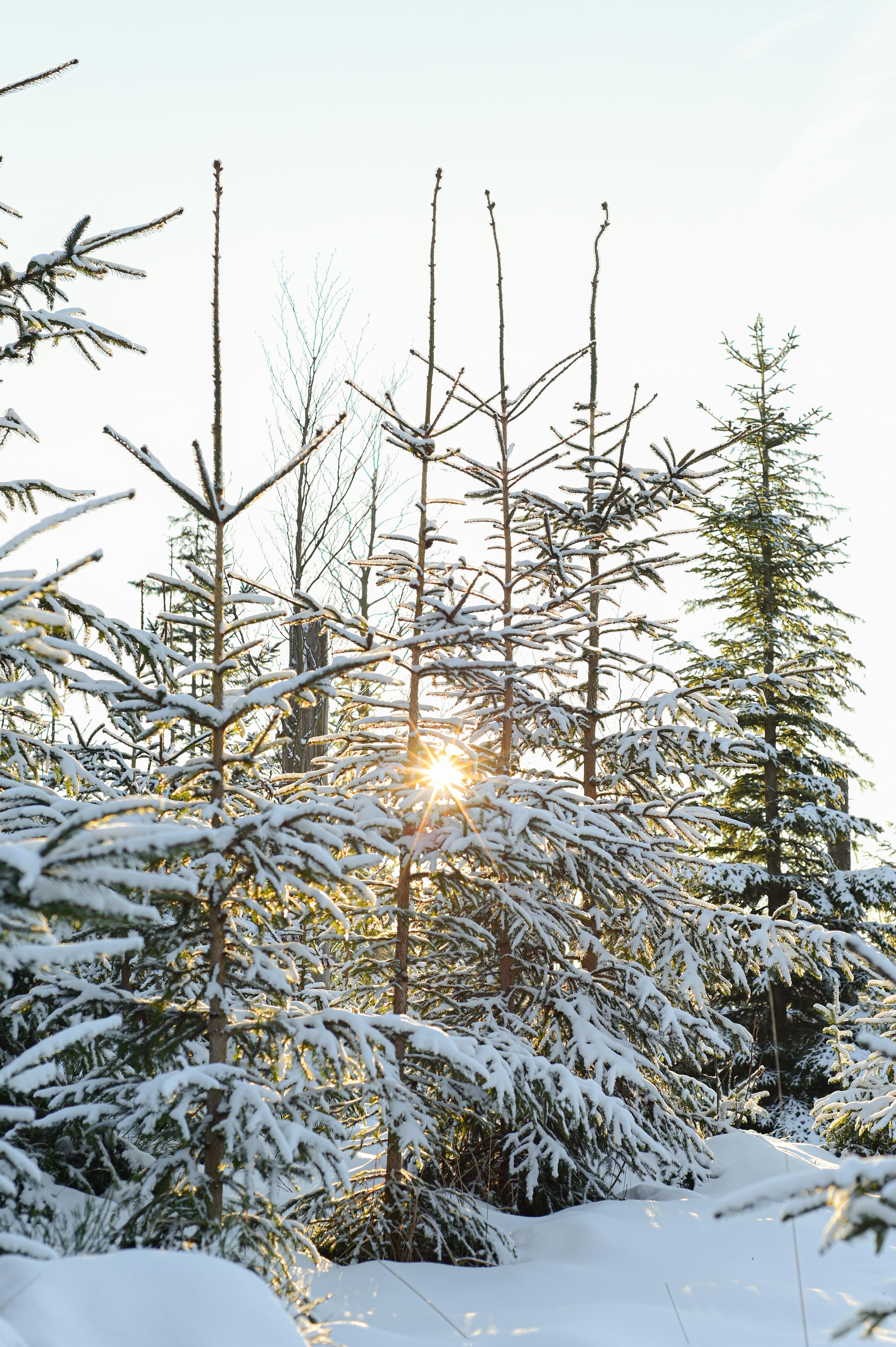 Photo by alexandra_p_d