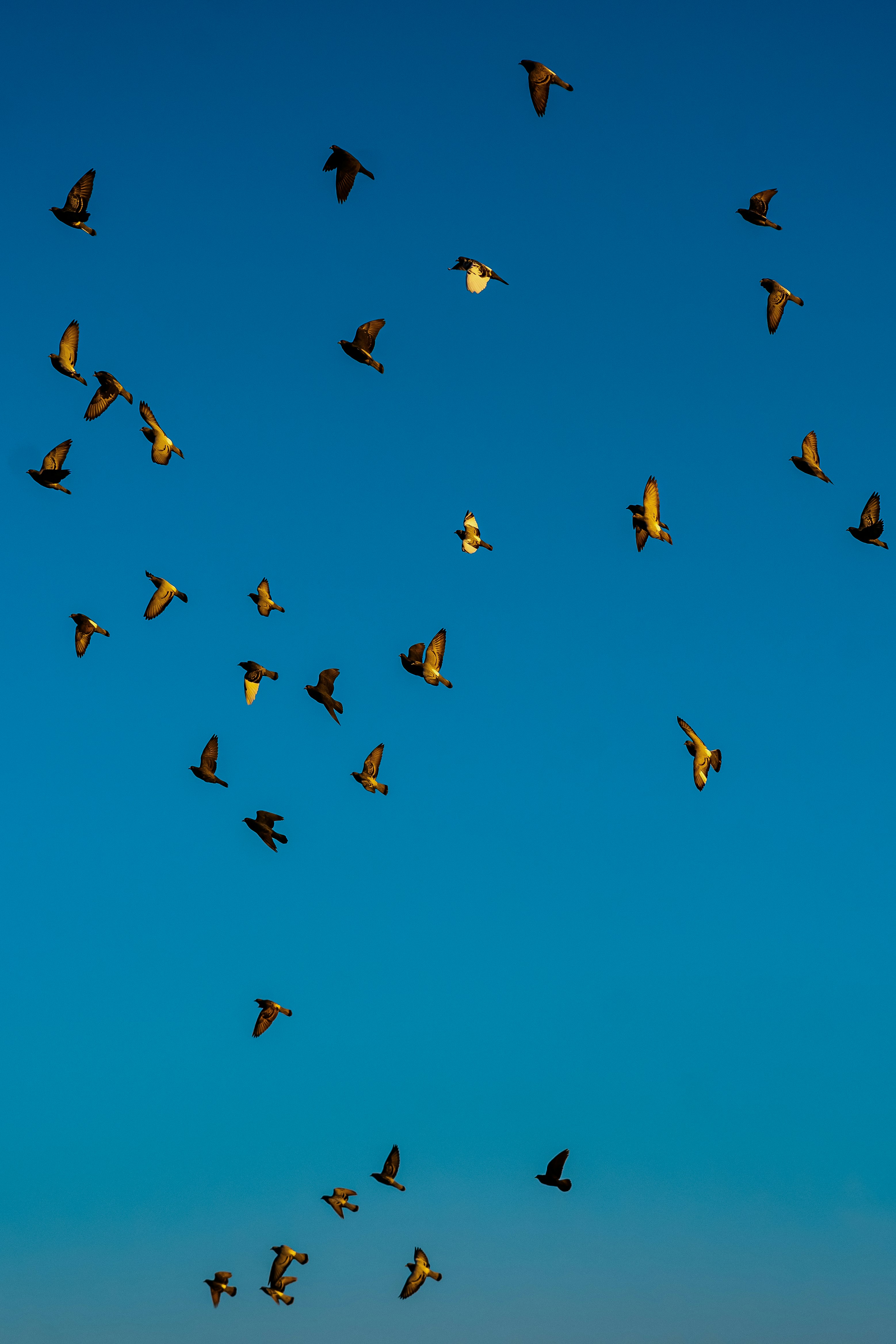 Photo by jahan_photobox