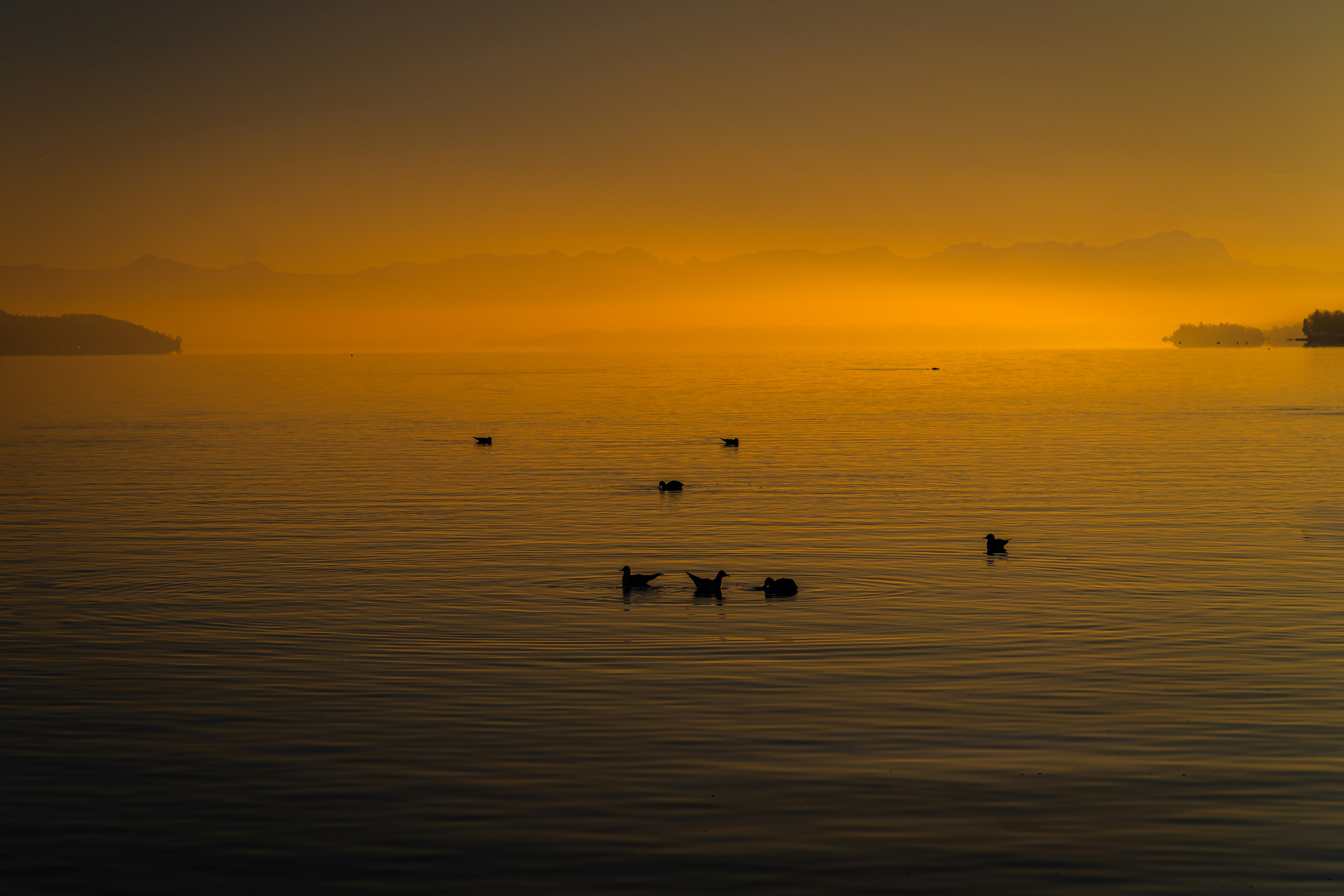 Photo by jahan_photobox