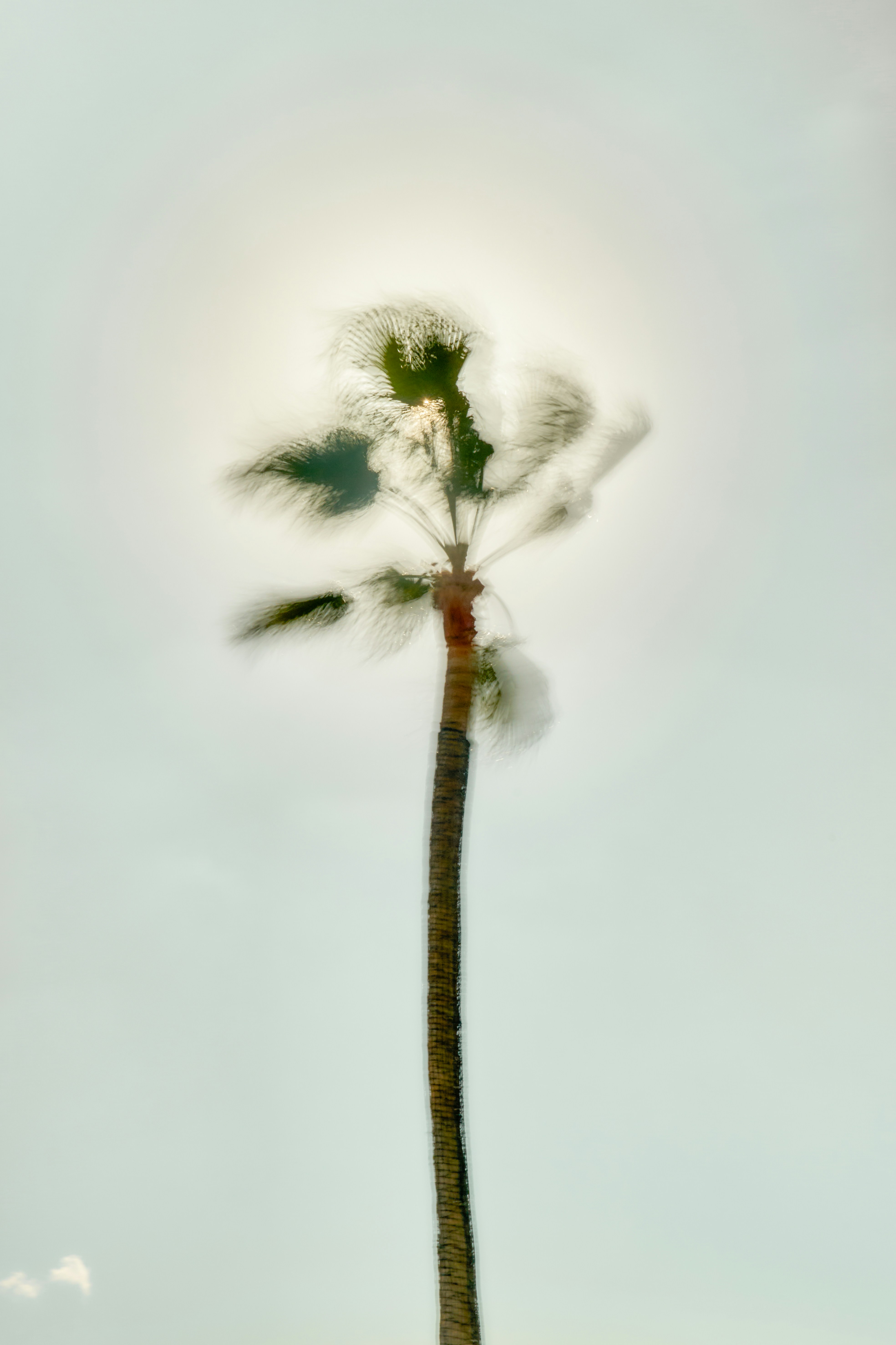 一、空运进口香港电子产品市场概况