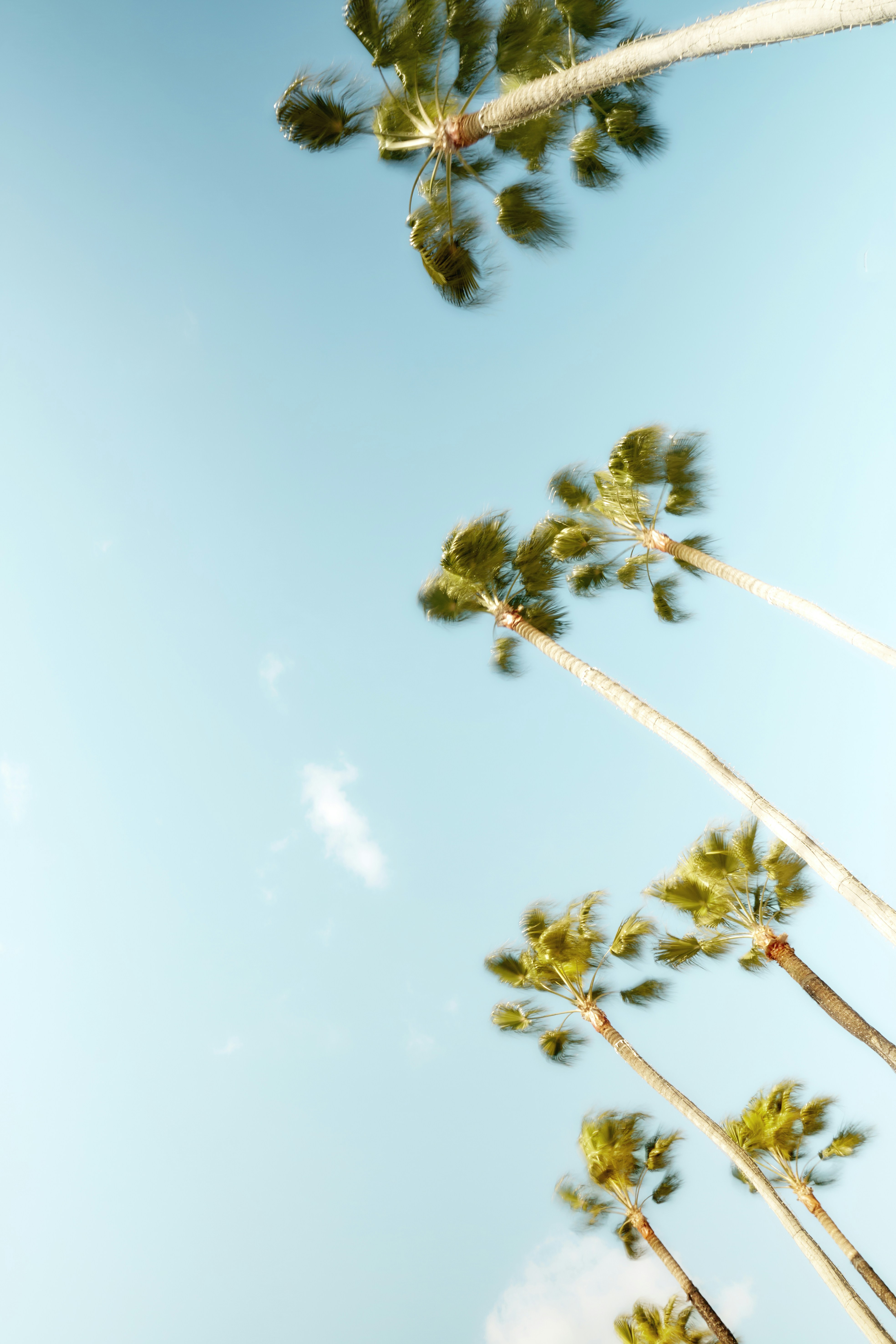 选择合适的空运代理和报关行