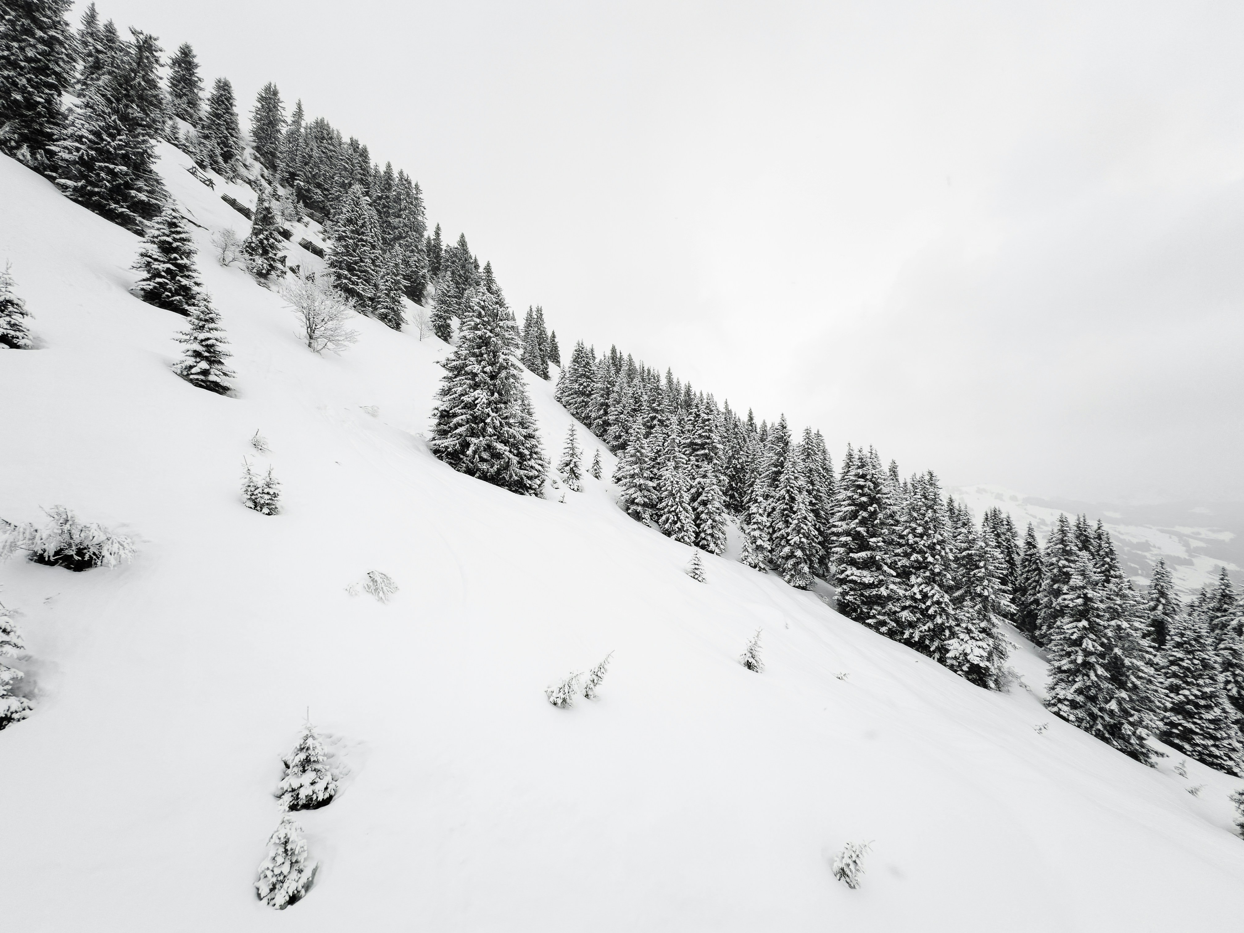 Un uomo che cavalca gli sci giù per un pendio coperto di neve