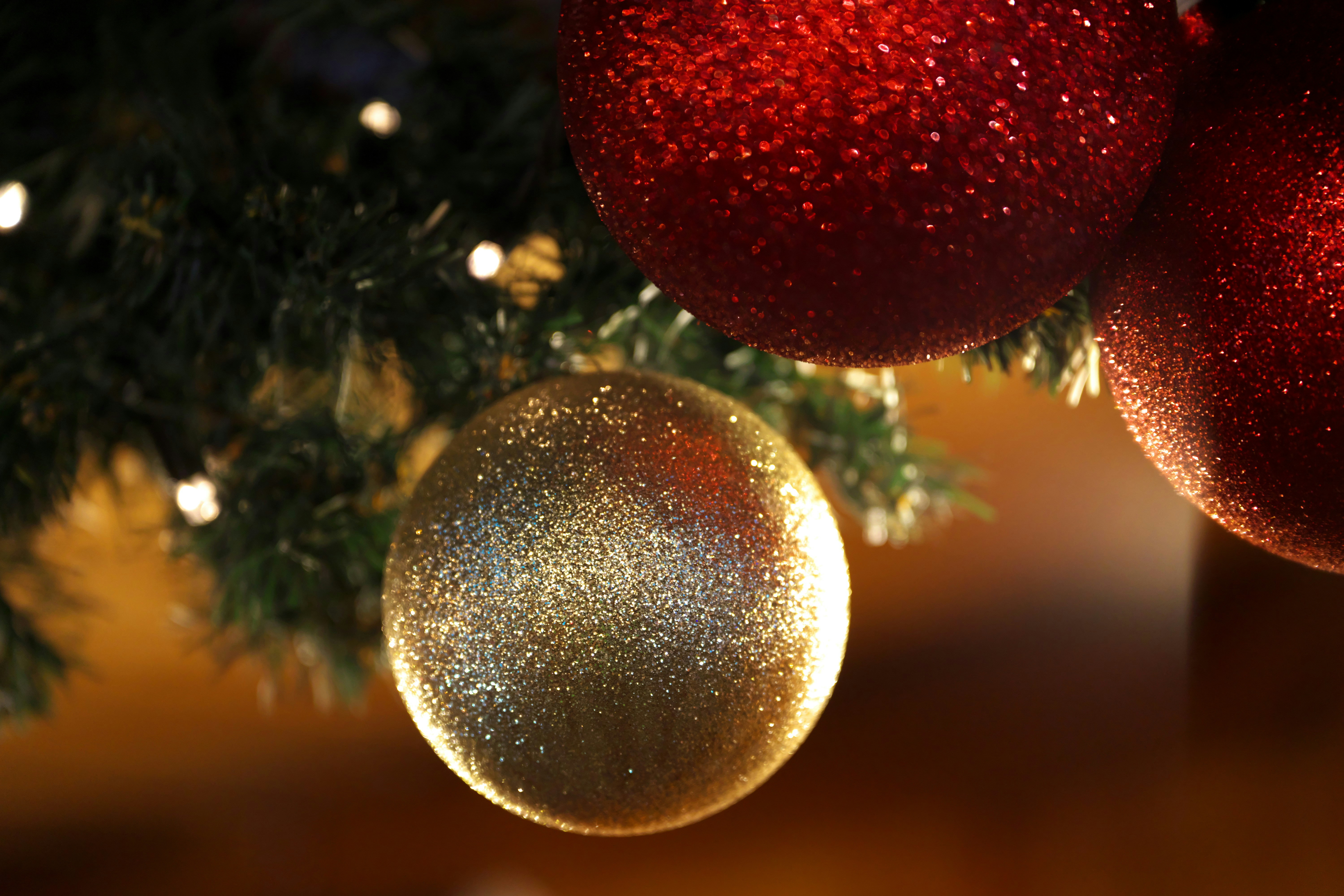 Three red and gold ornaments hanging from a christmas tree photo – Free ...