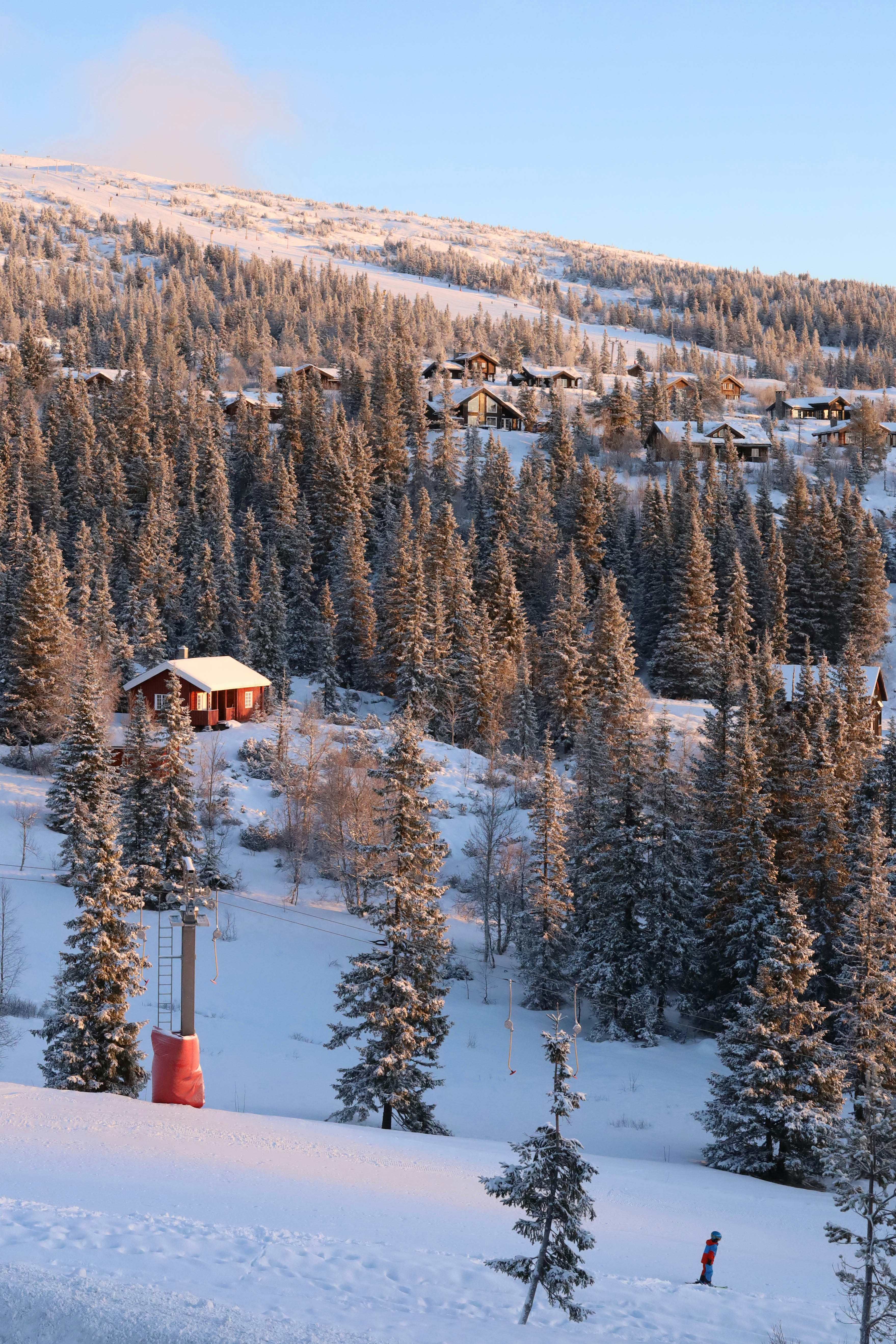 Photo by dariamemories