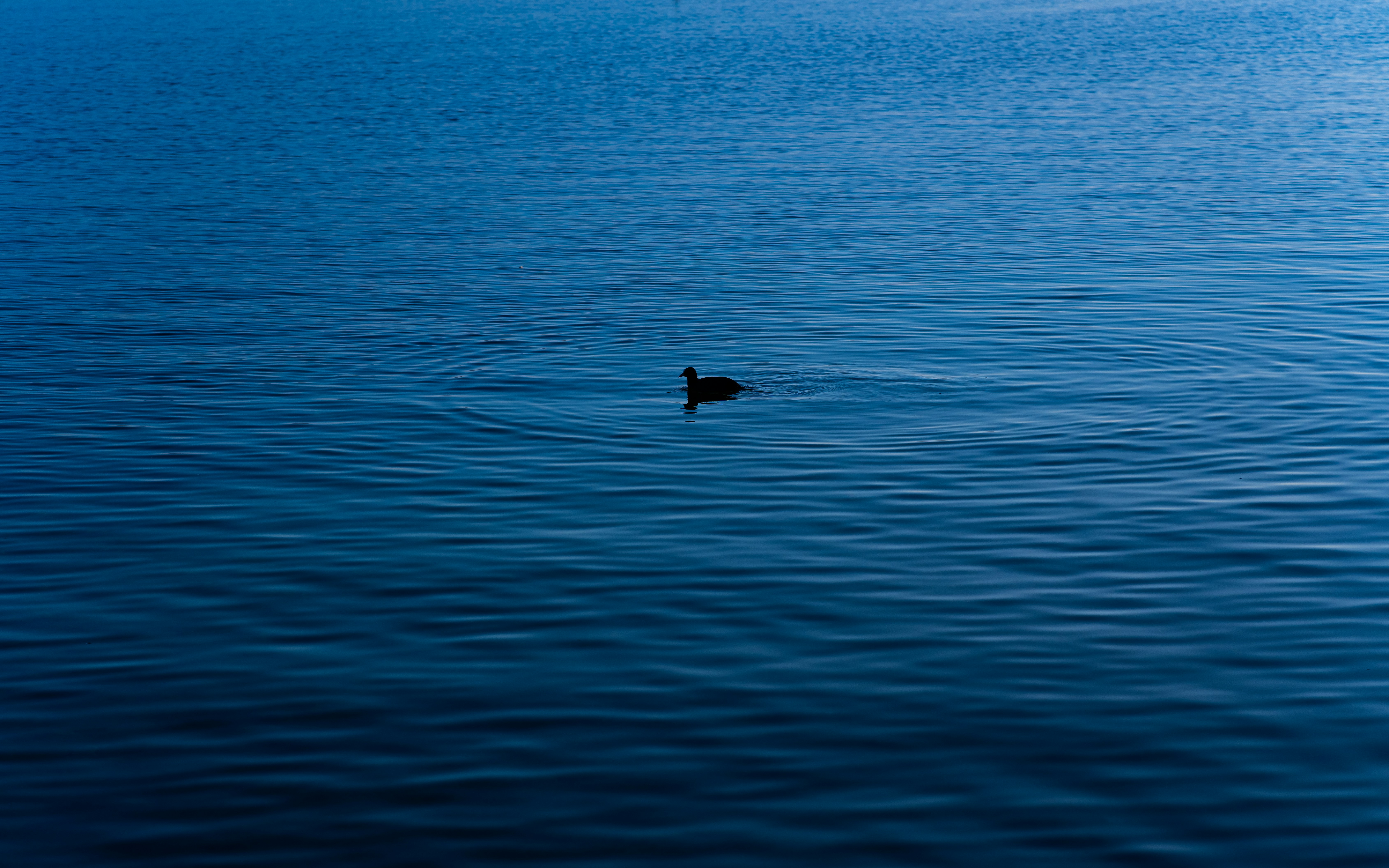 Photo by jahan_photobox