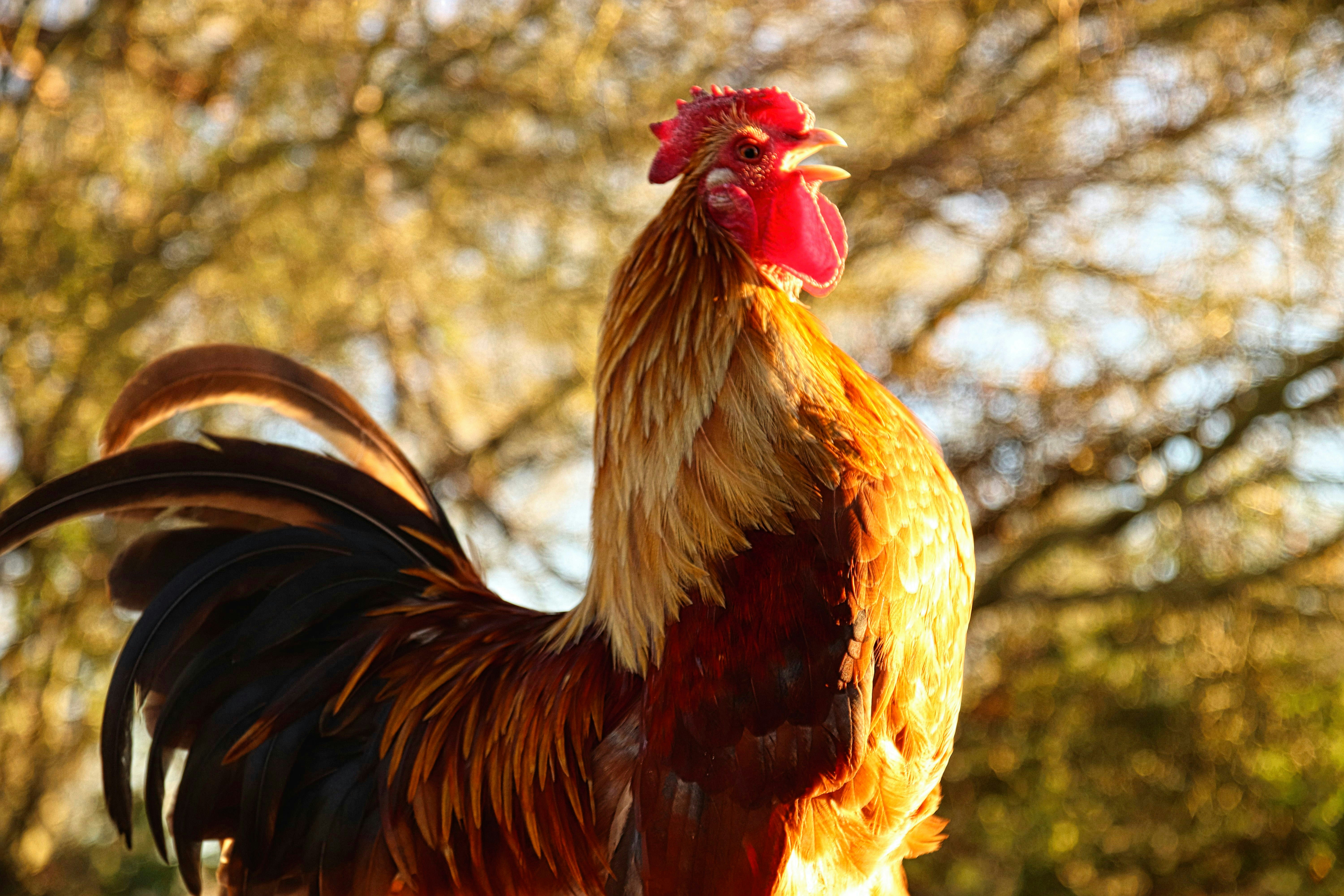 Photo by danieltuttle