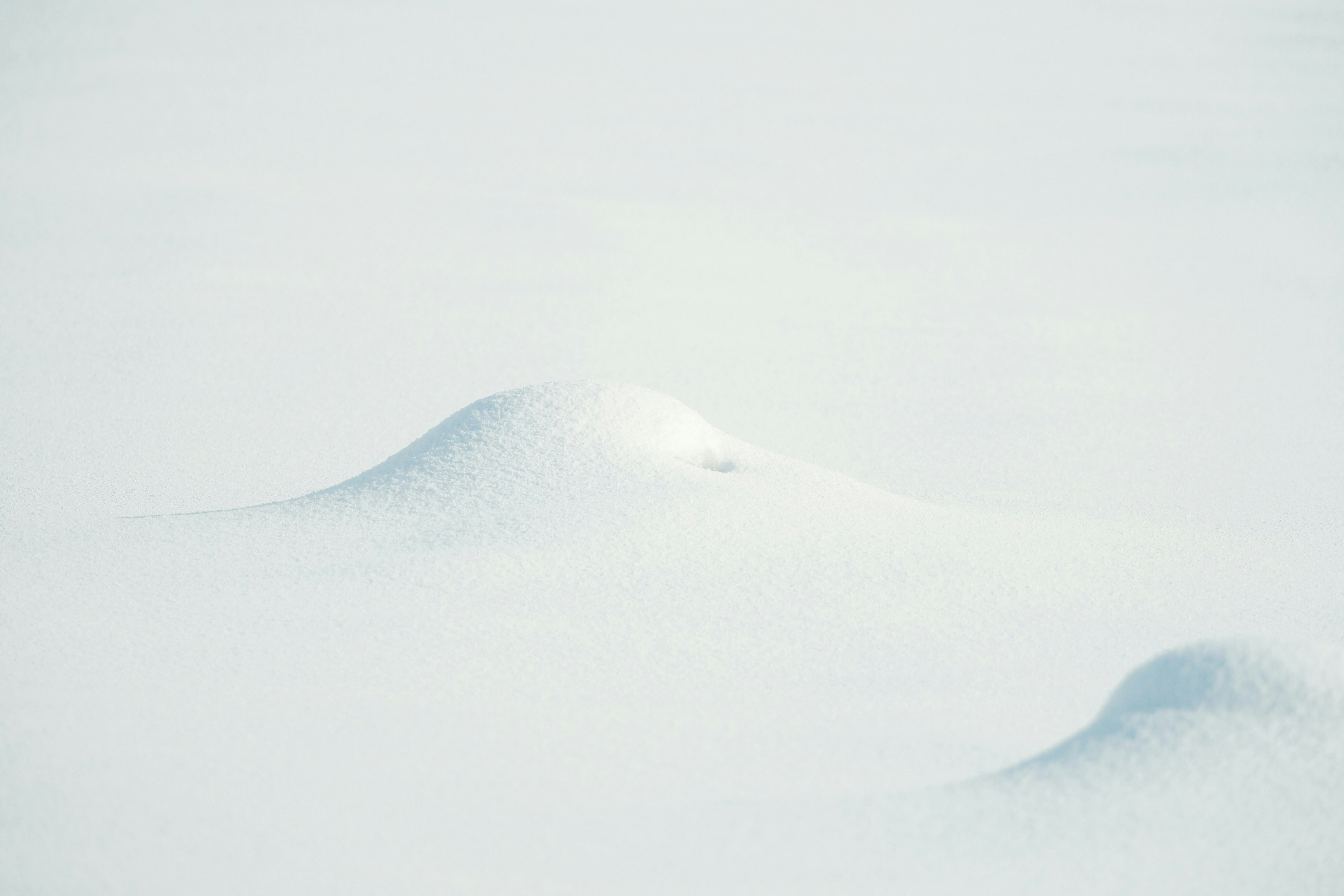 Photo by seiya_maeda