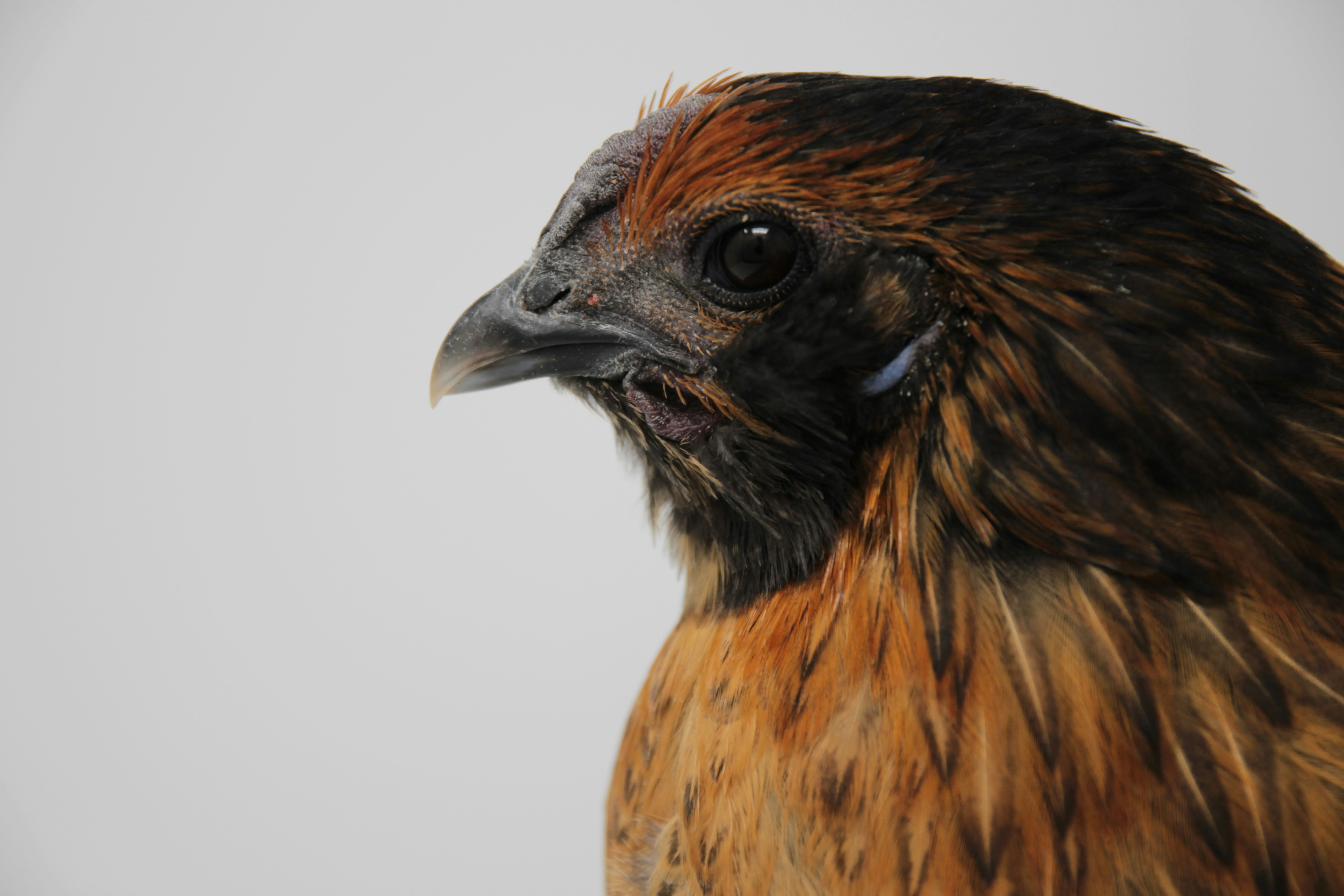 Photo by danieltuttle