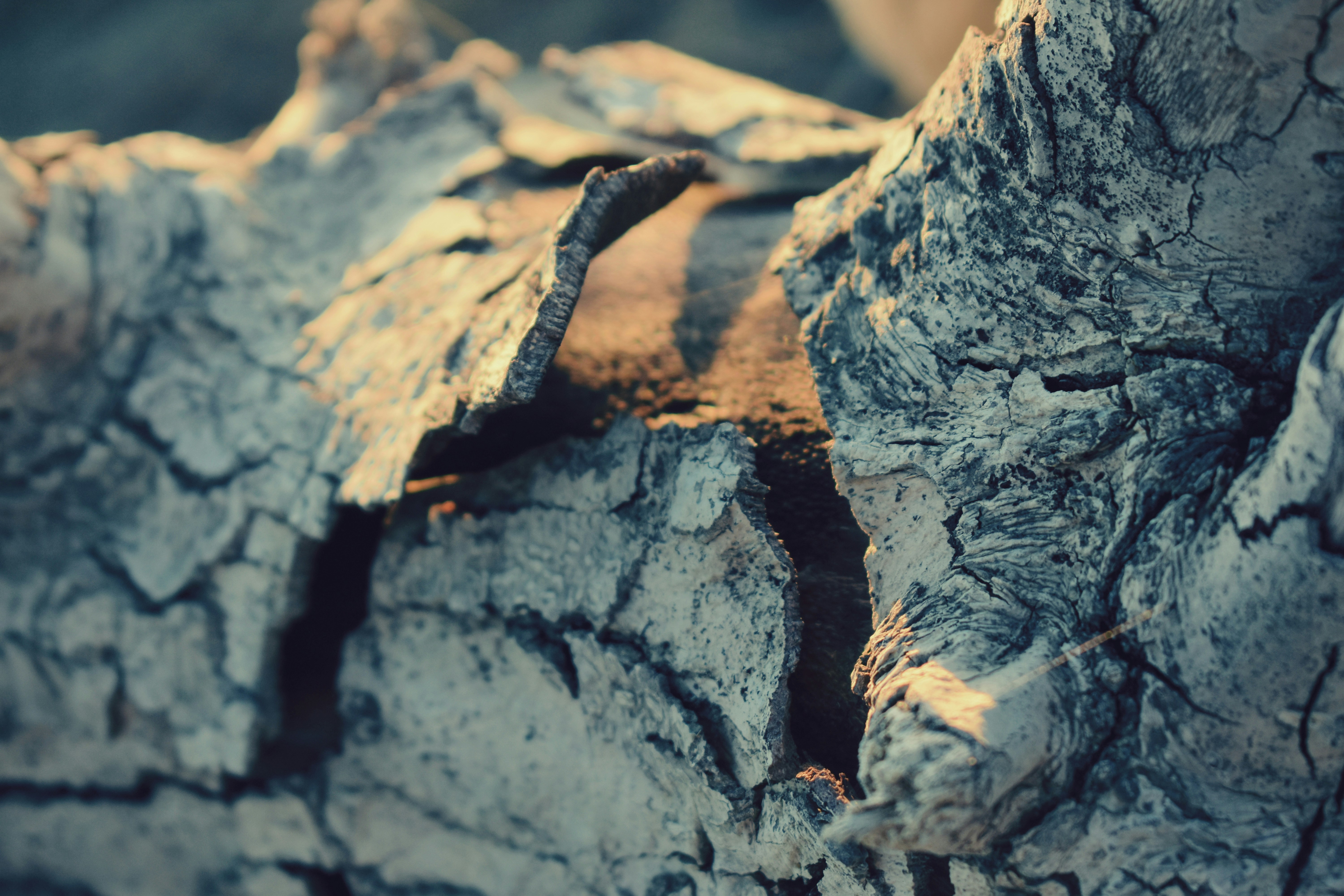 Photo by myshegotripped