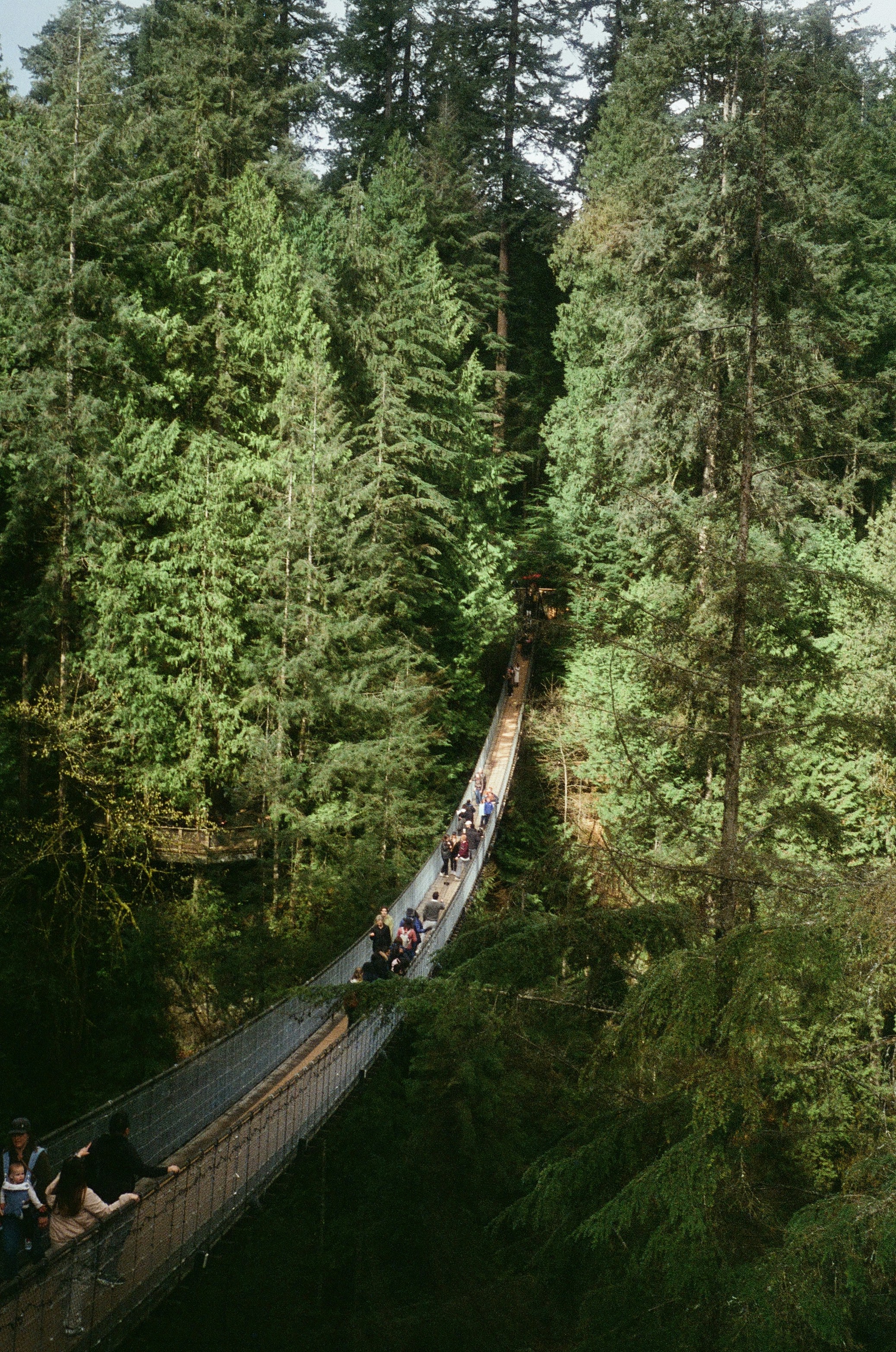 Photo by dougschneiders