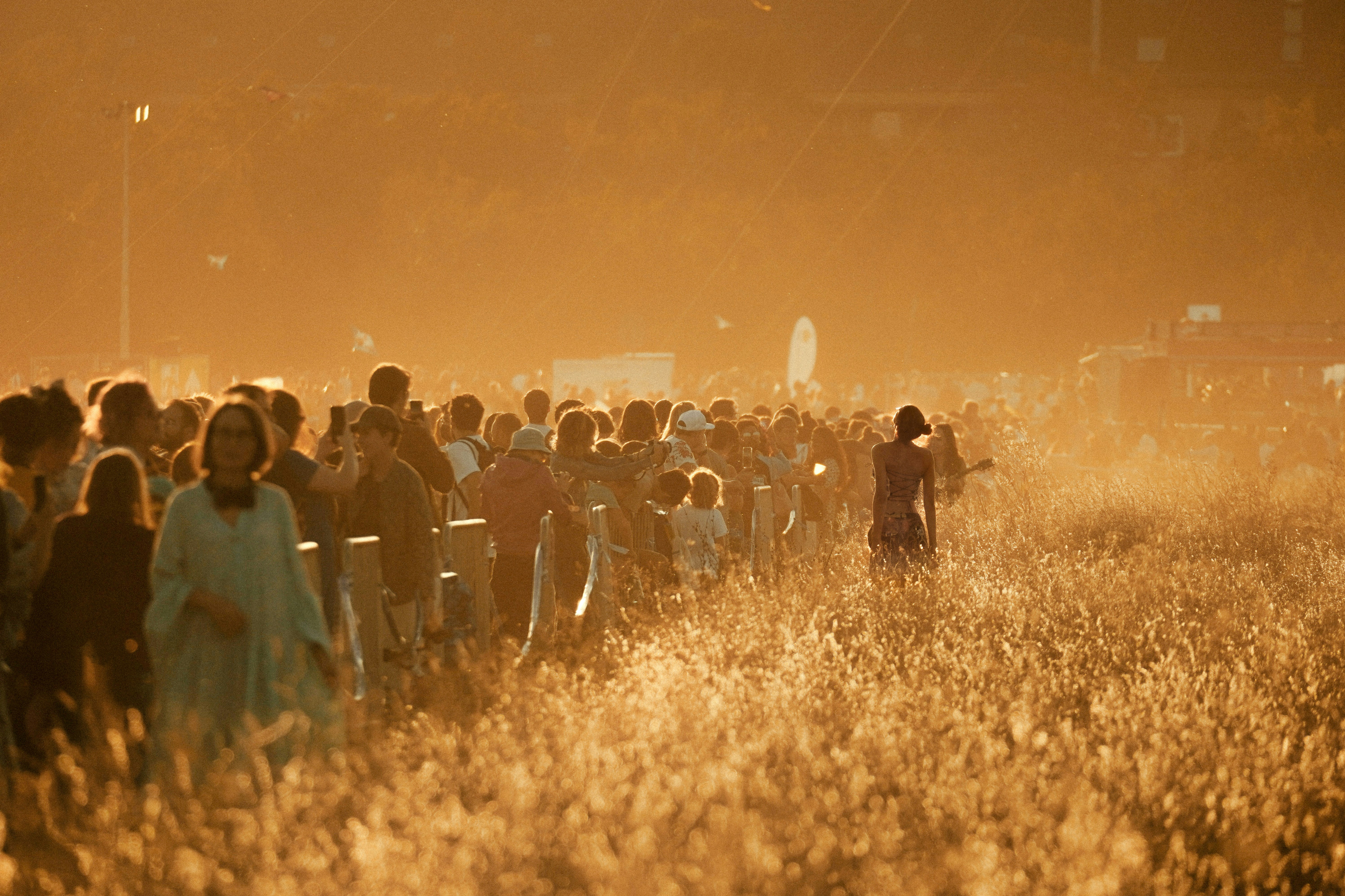 A large group of people standing in a field