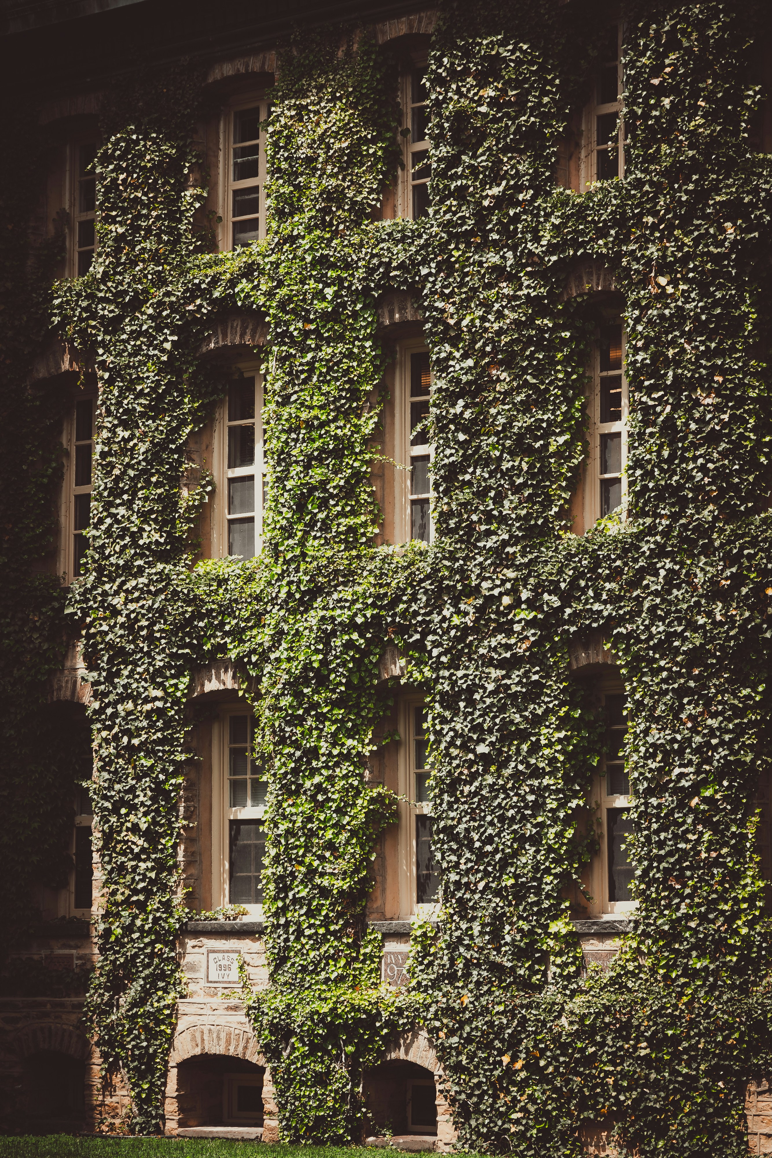 Photo by sawyercapture