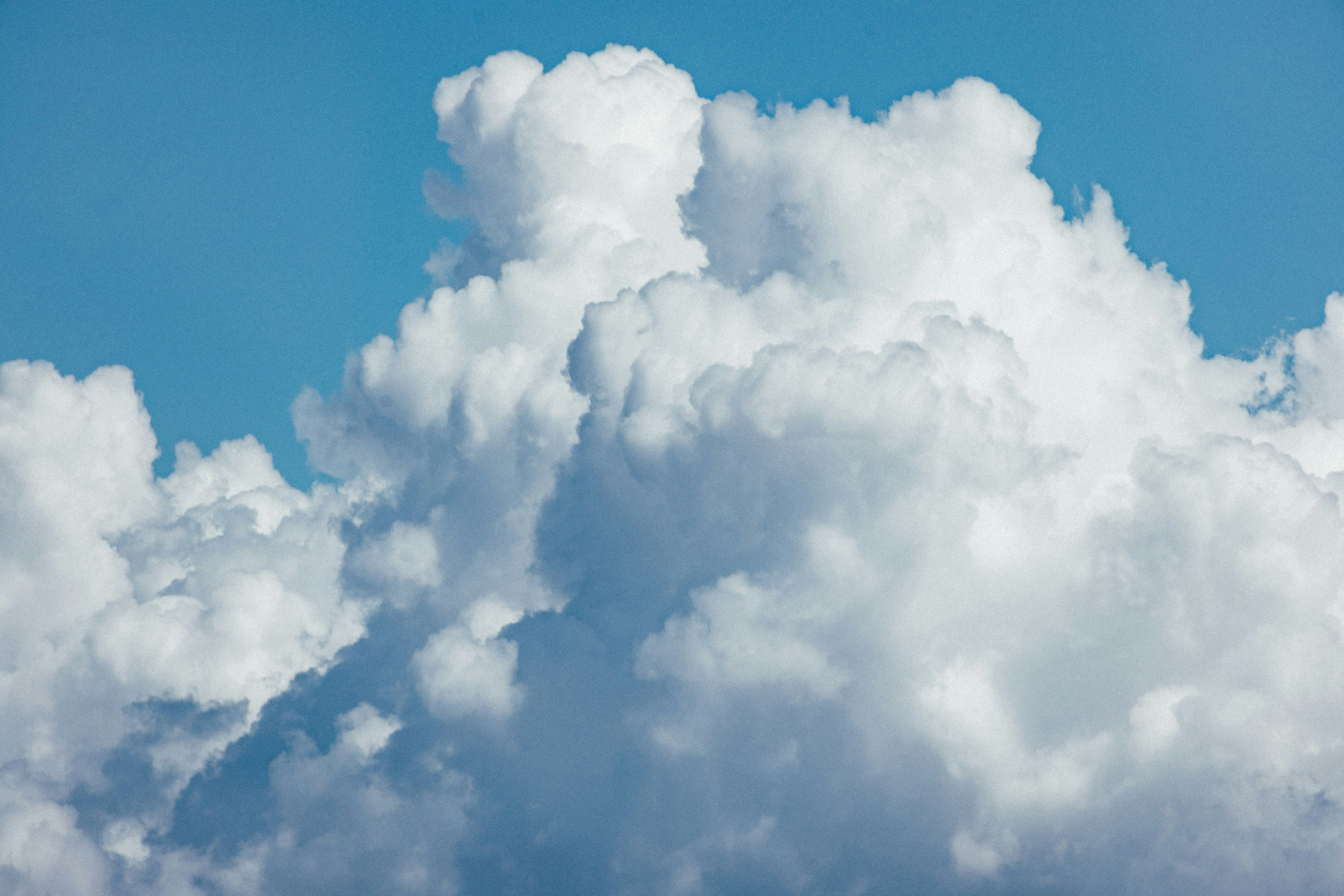 Photo by tsuyoshikozu