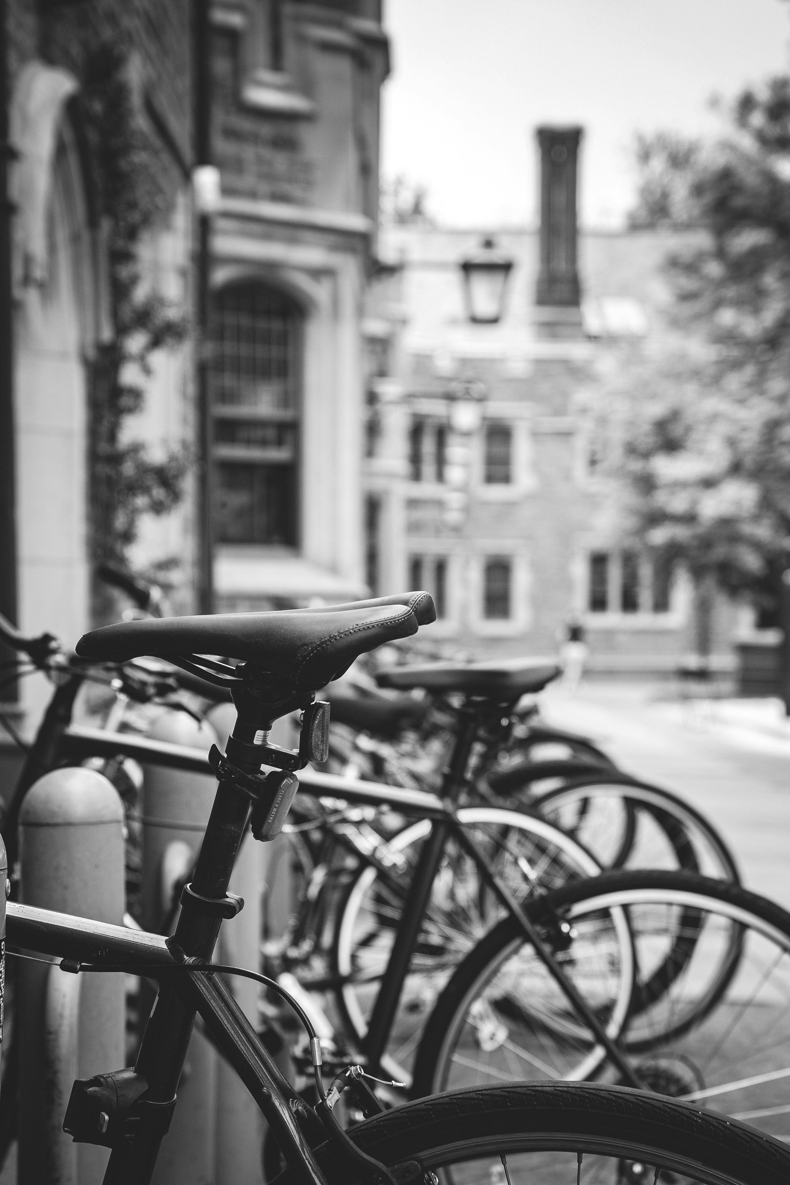 Photo by sawyercapture