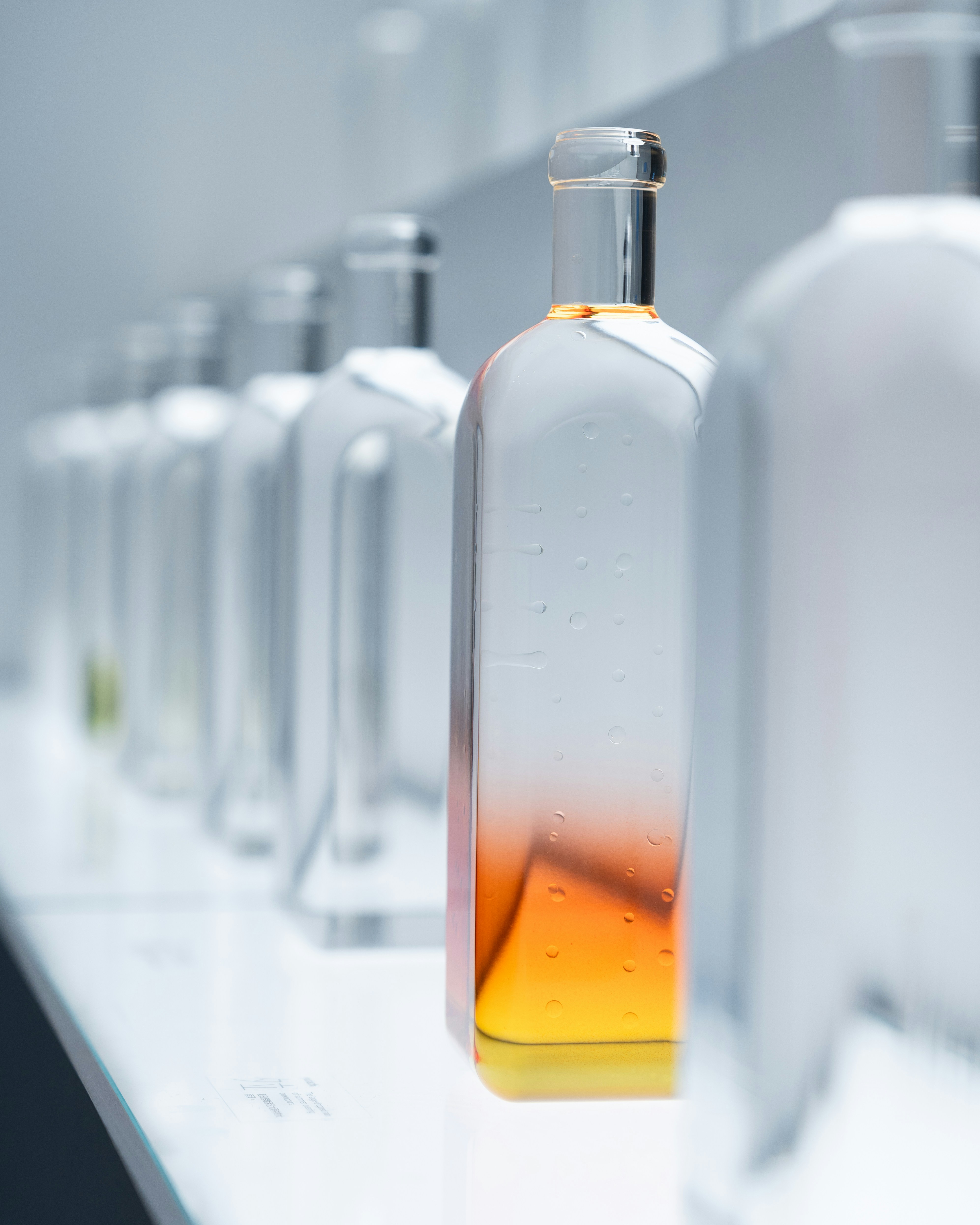 Photo by harrisonchang