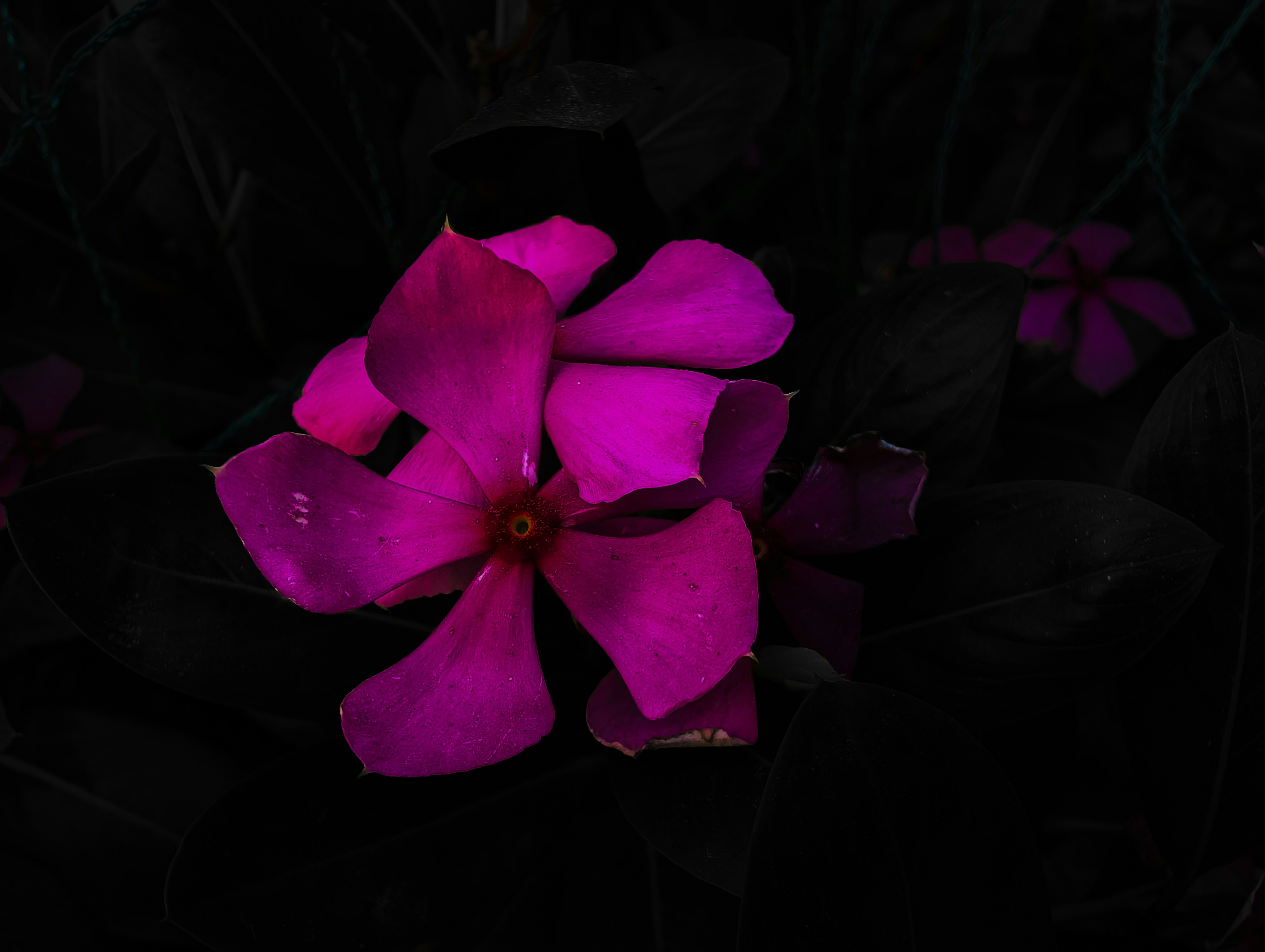 Photo by masumbinzafar