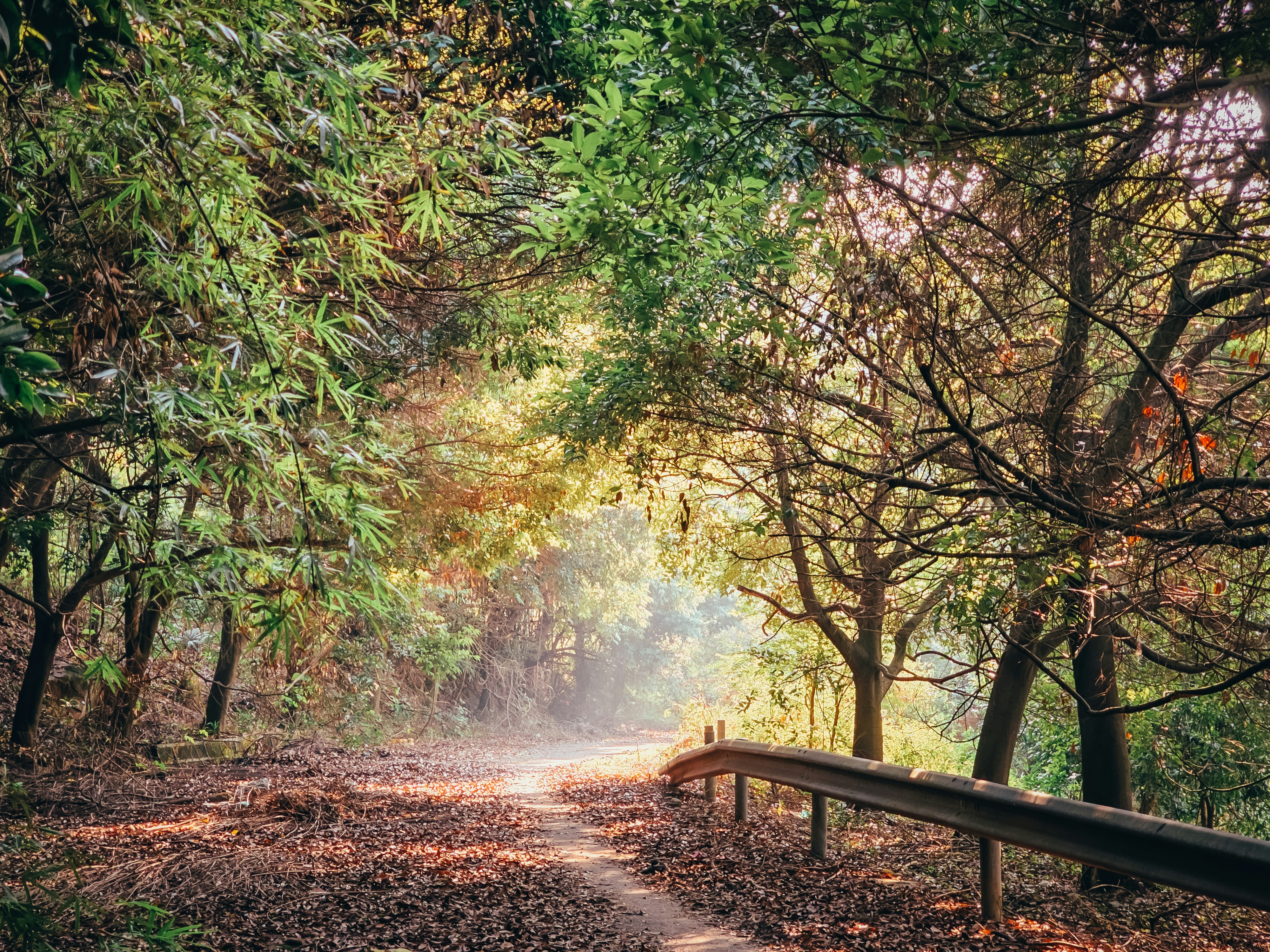 Photo by hypocriteeeee