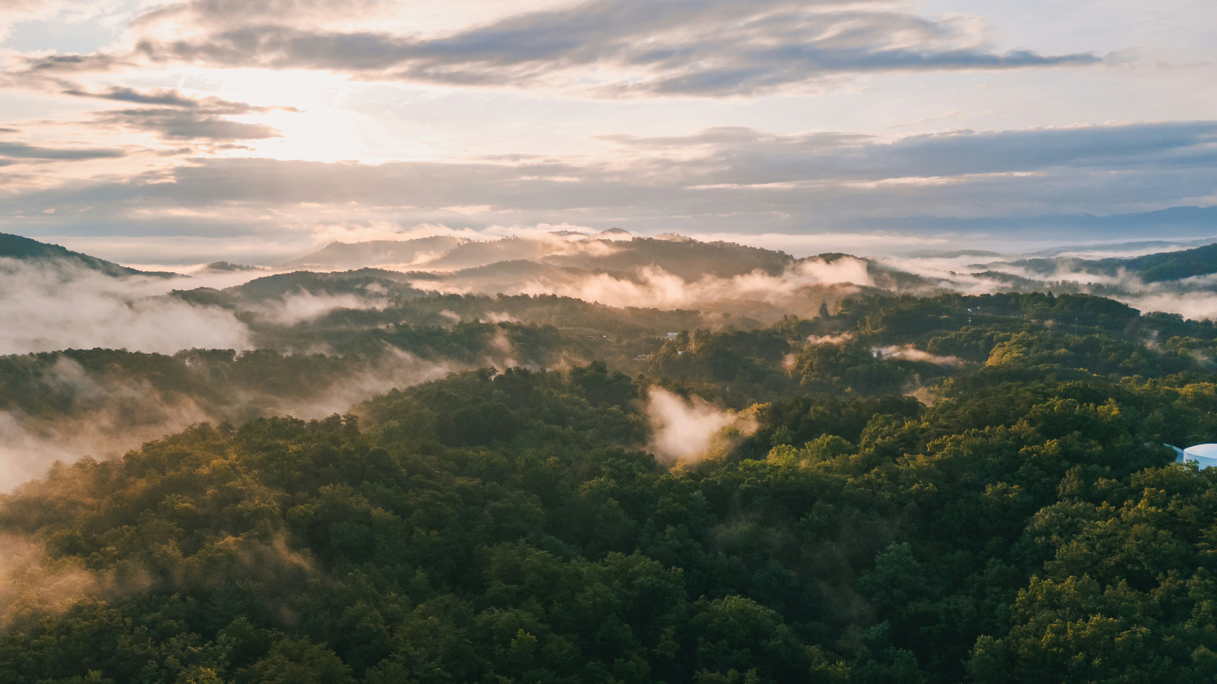 Photo by sawyercapture