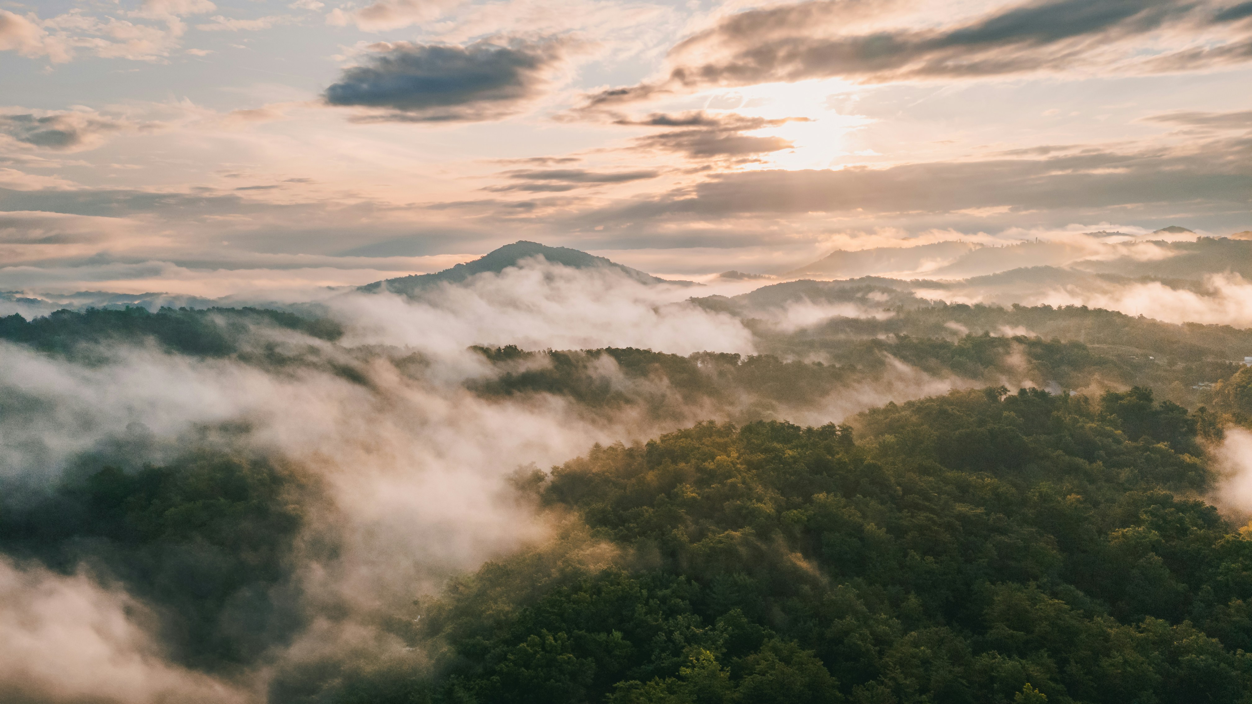 Photo by sawyercapture